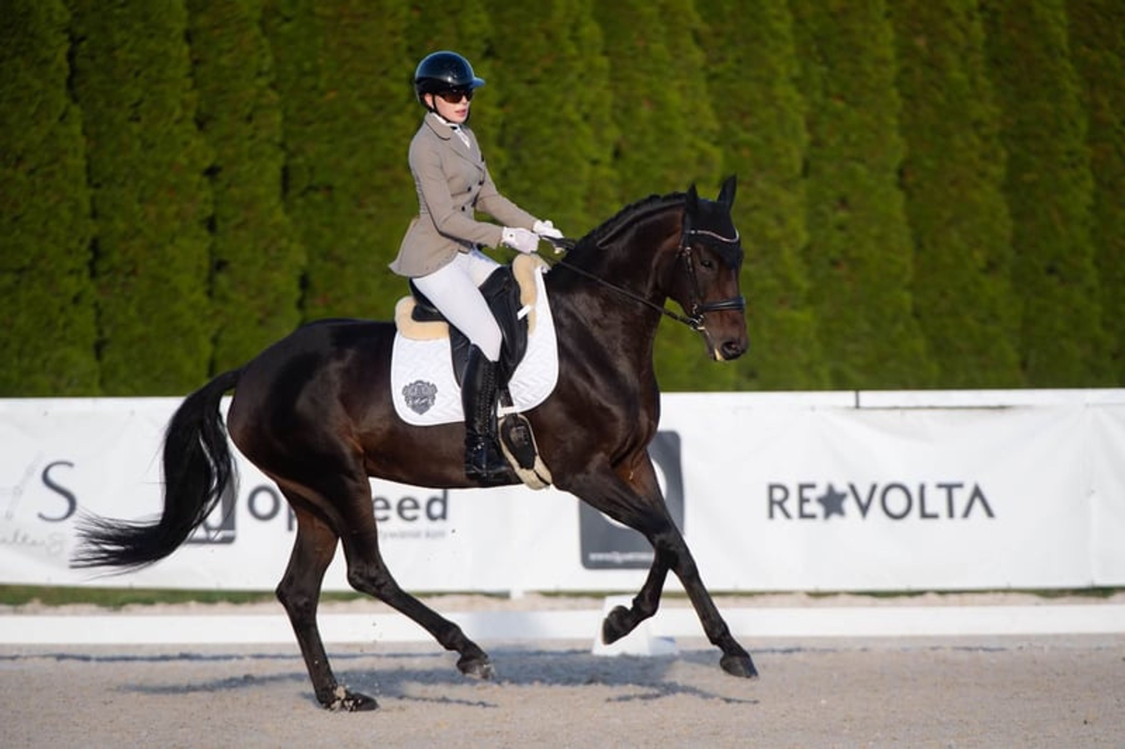 Fürstenball mare: Vice-champion, highly talented & well-trained video 2