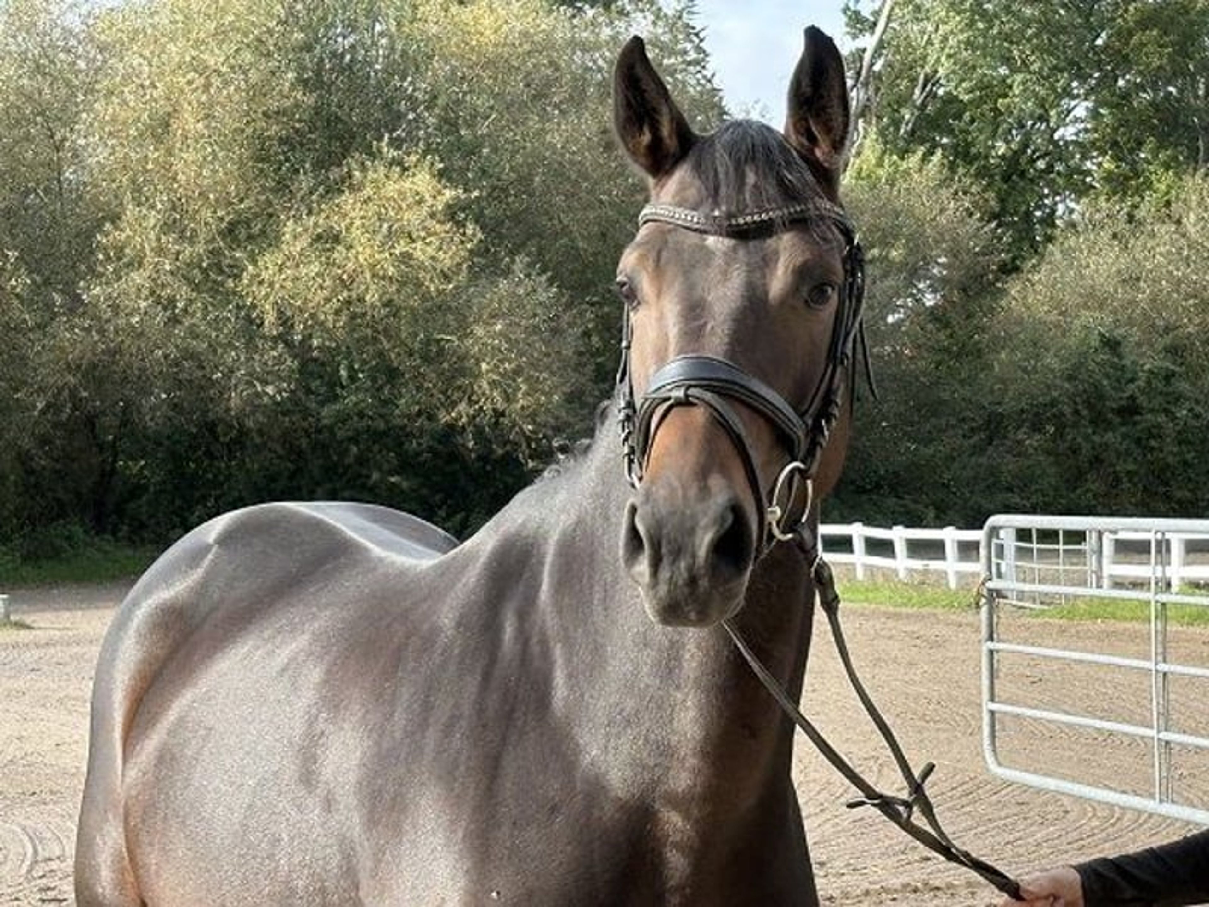 **BREEDER SALE DAY on Saturday, 24 October!**