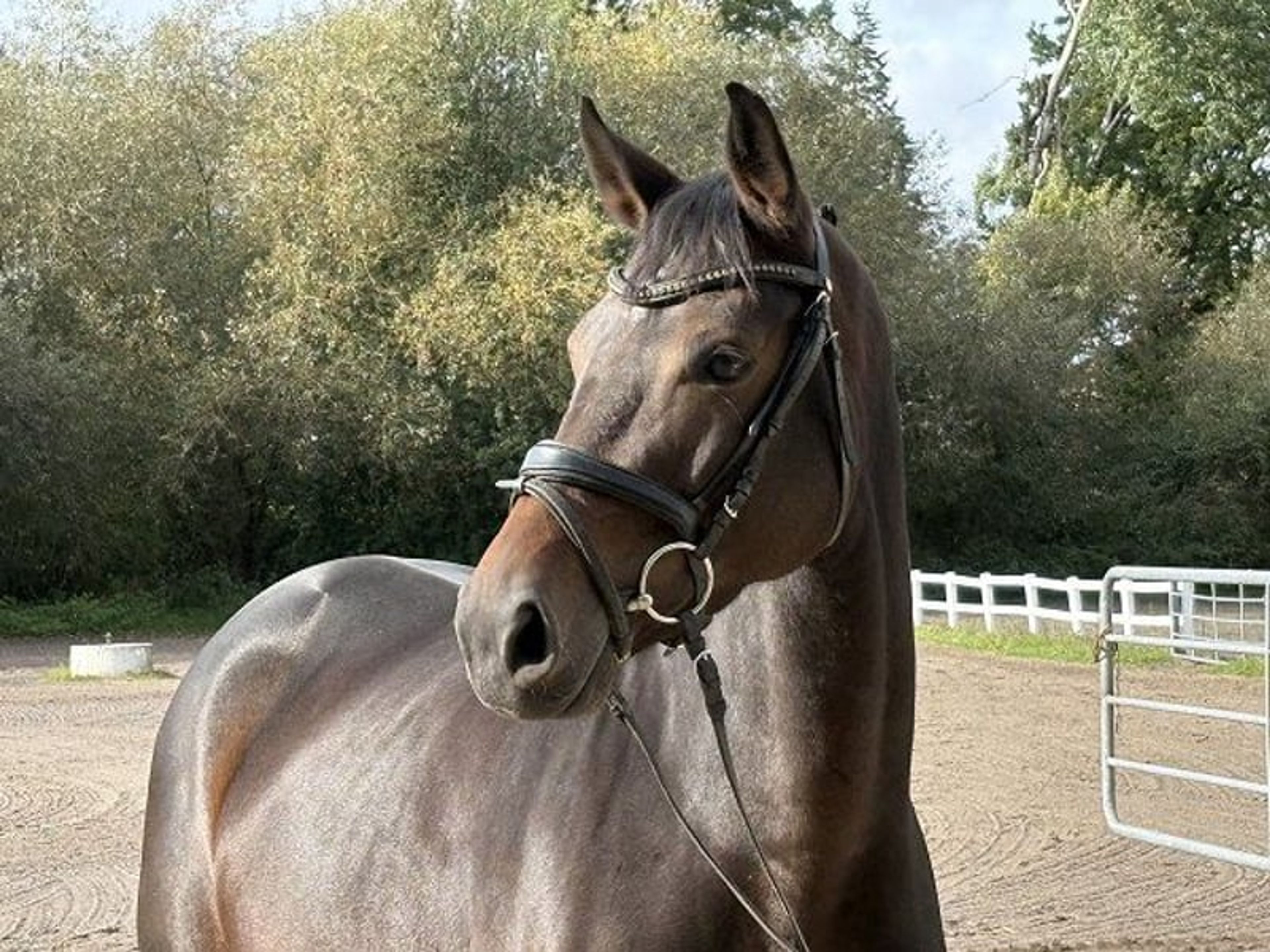 **BREEDER SALE DAY on Saturday, 24 October!** - Image 4