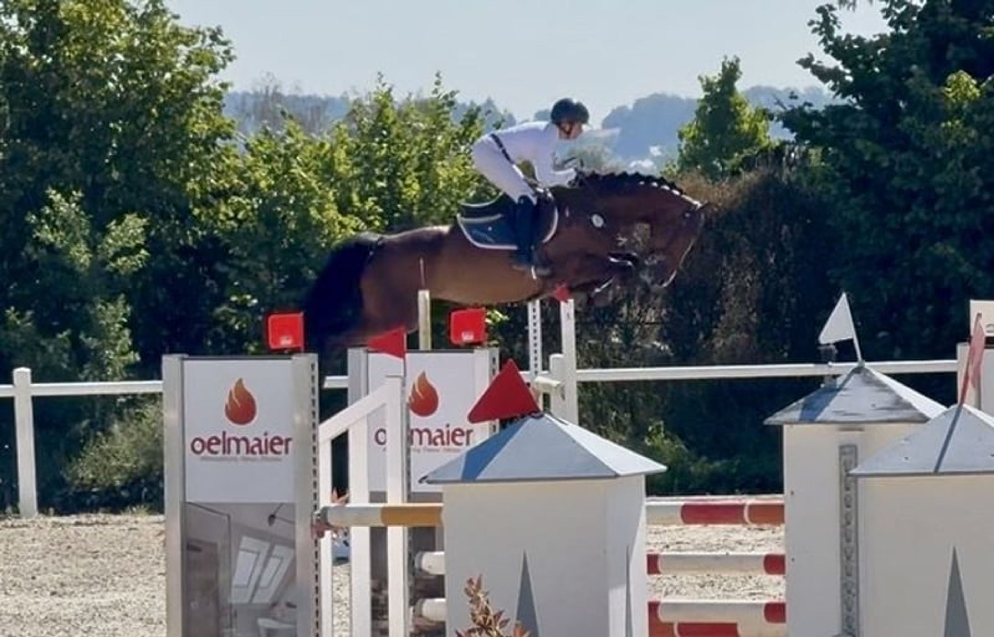 Beautiful young prospect - Image 3