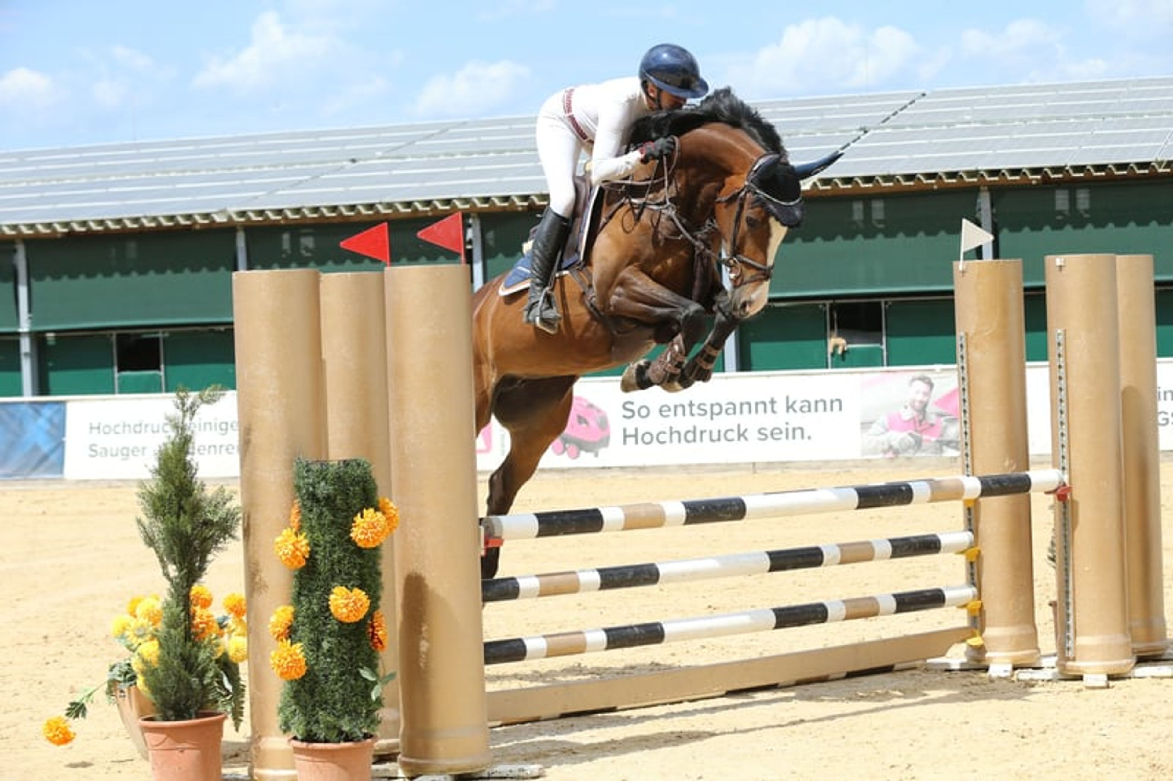 Beautiful young prospect - Image 5
