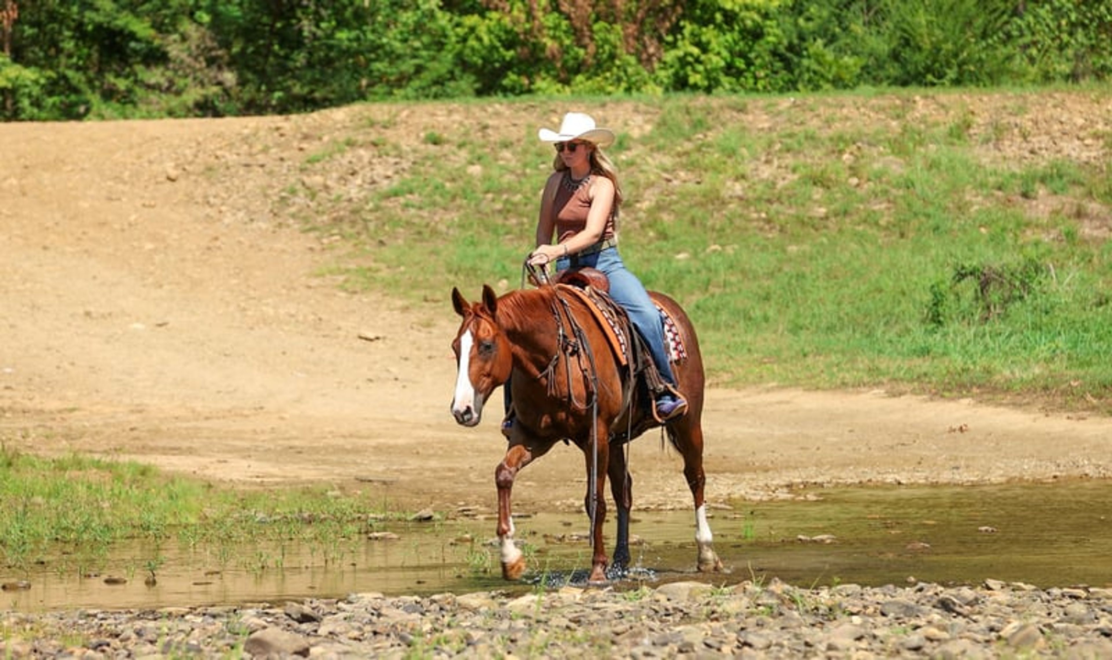 Cletus 10 Yr old 15.2hh Sorrel AQHA Gelding - Image 6