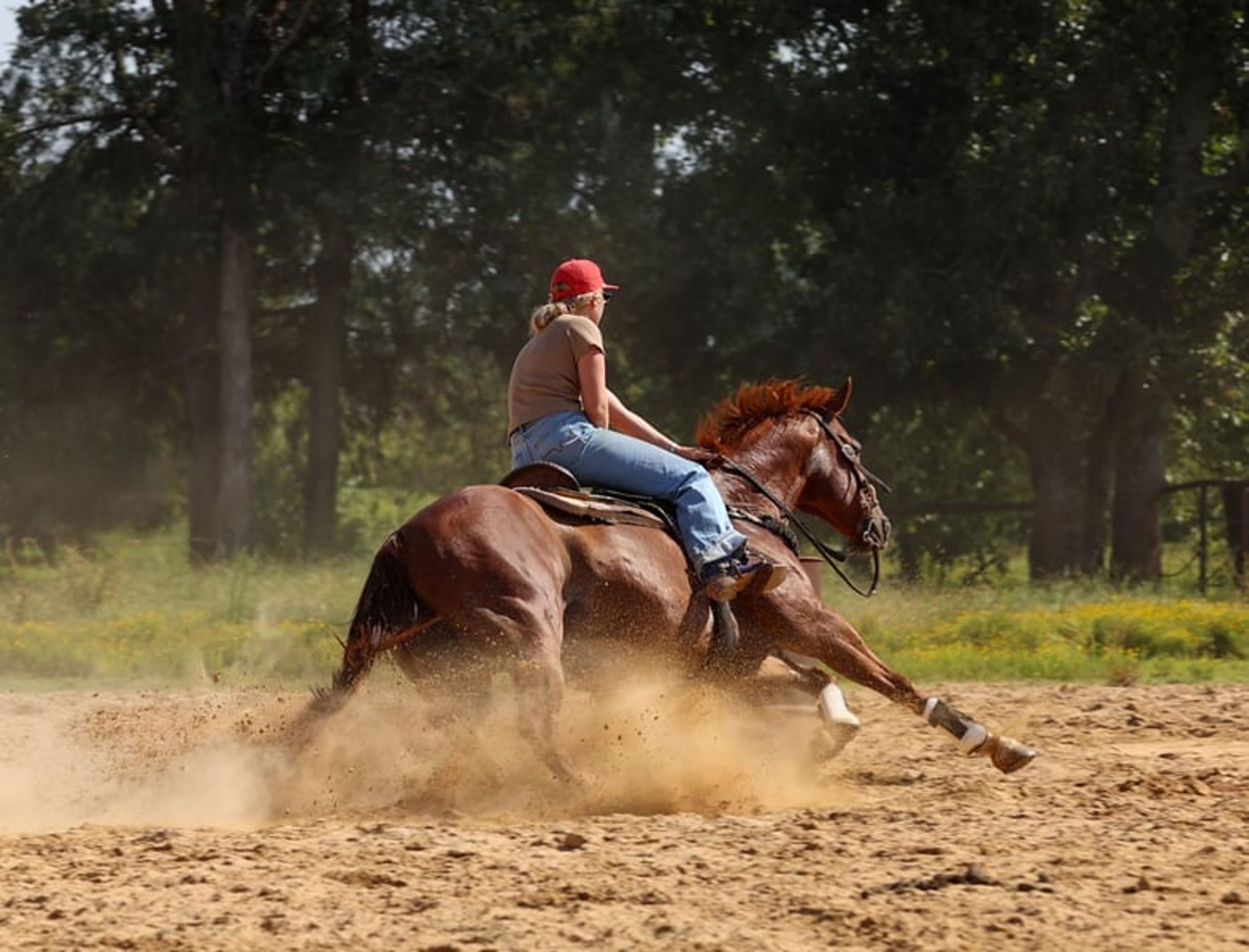 Cletus 10 Yr old 15.2hh Sorrel AQHA Gelding - Image 9