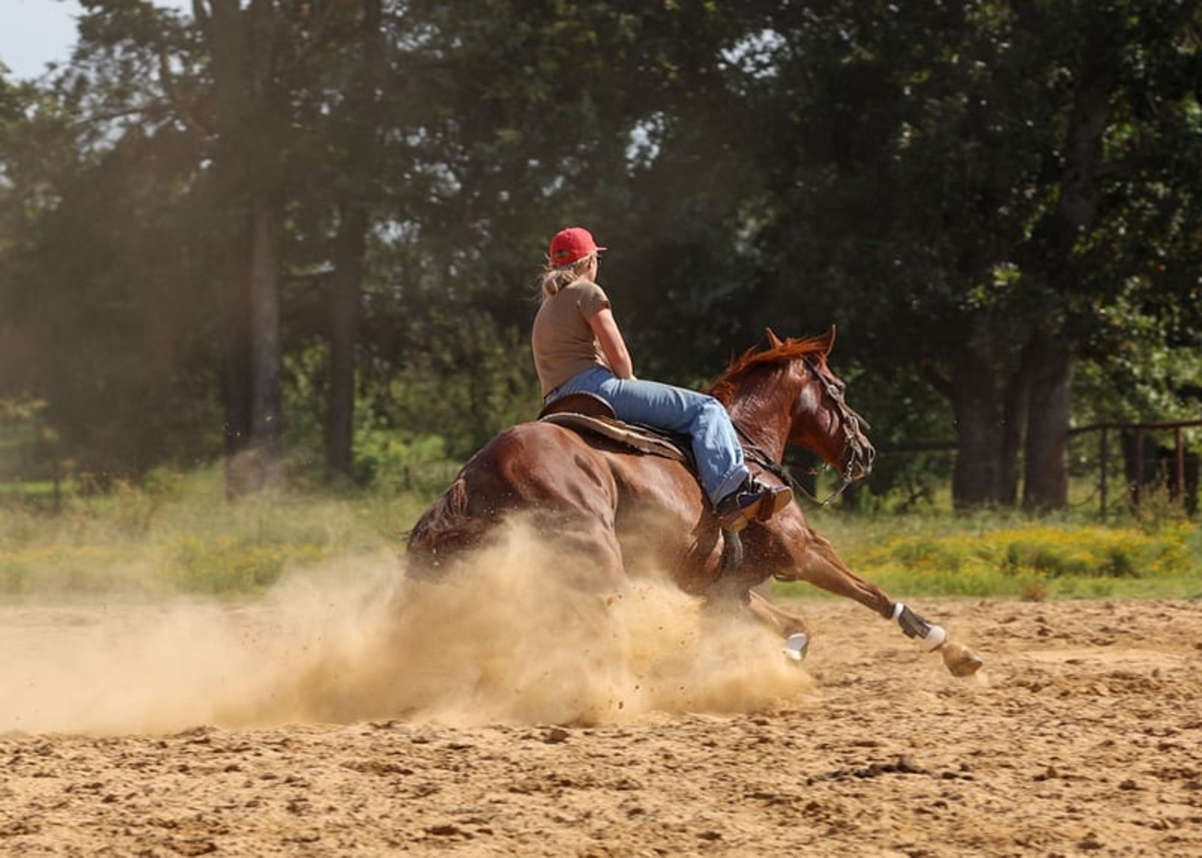 Cletus 10 Yr old 15.2hh Sorrel AQHA Gelding - Image 10