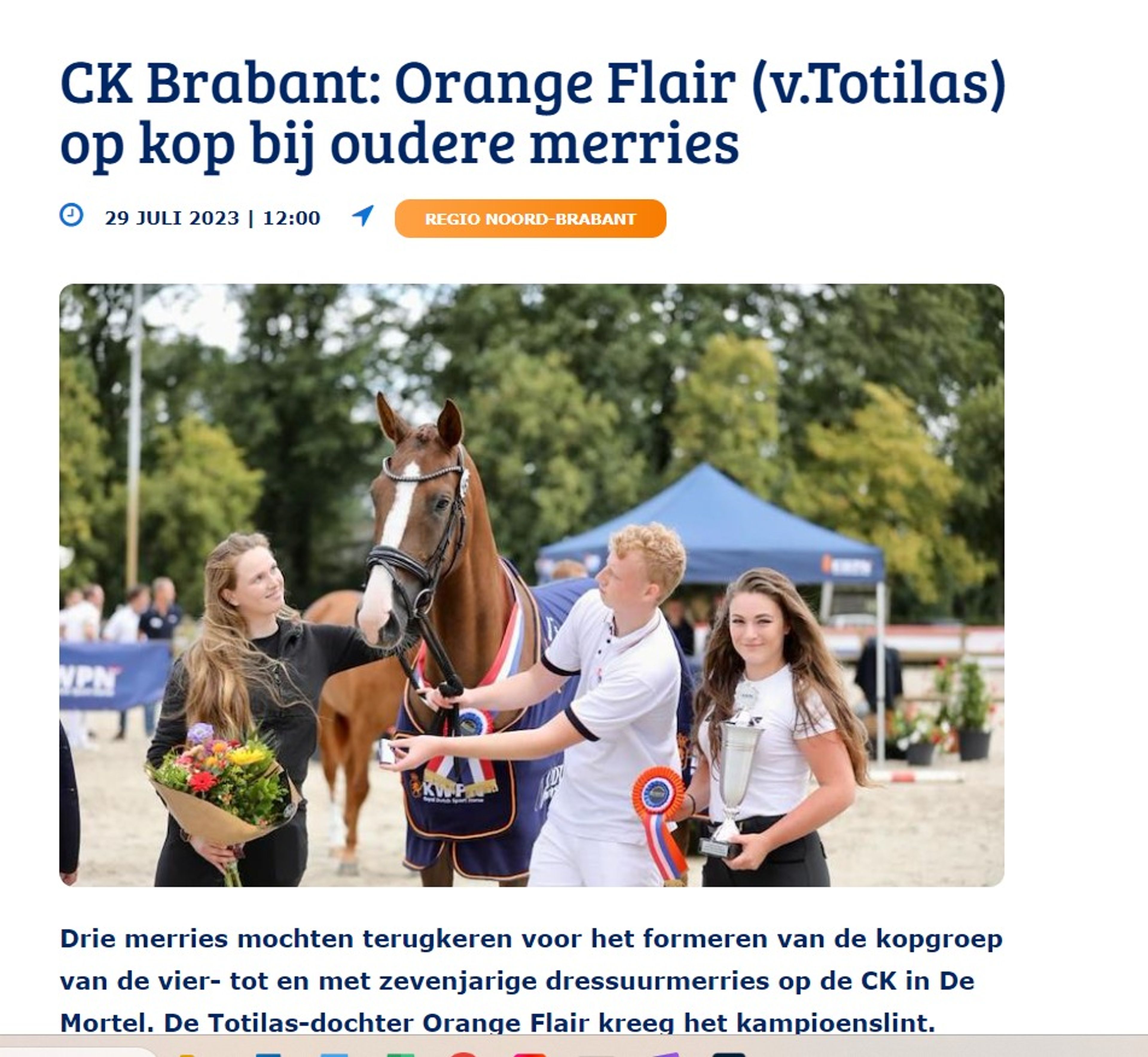 Orange Flair ☆ (TOTILAS x FLORENCIO) - Image 4