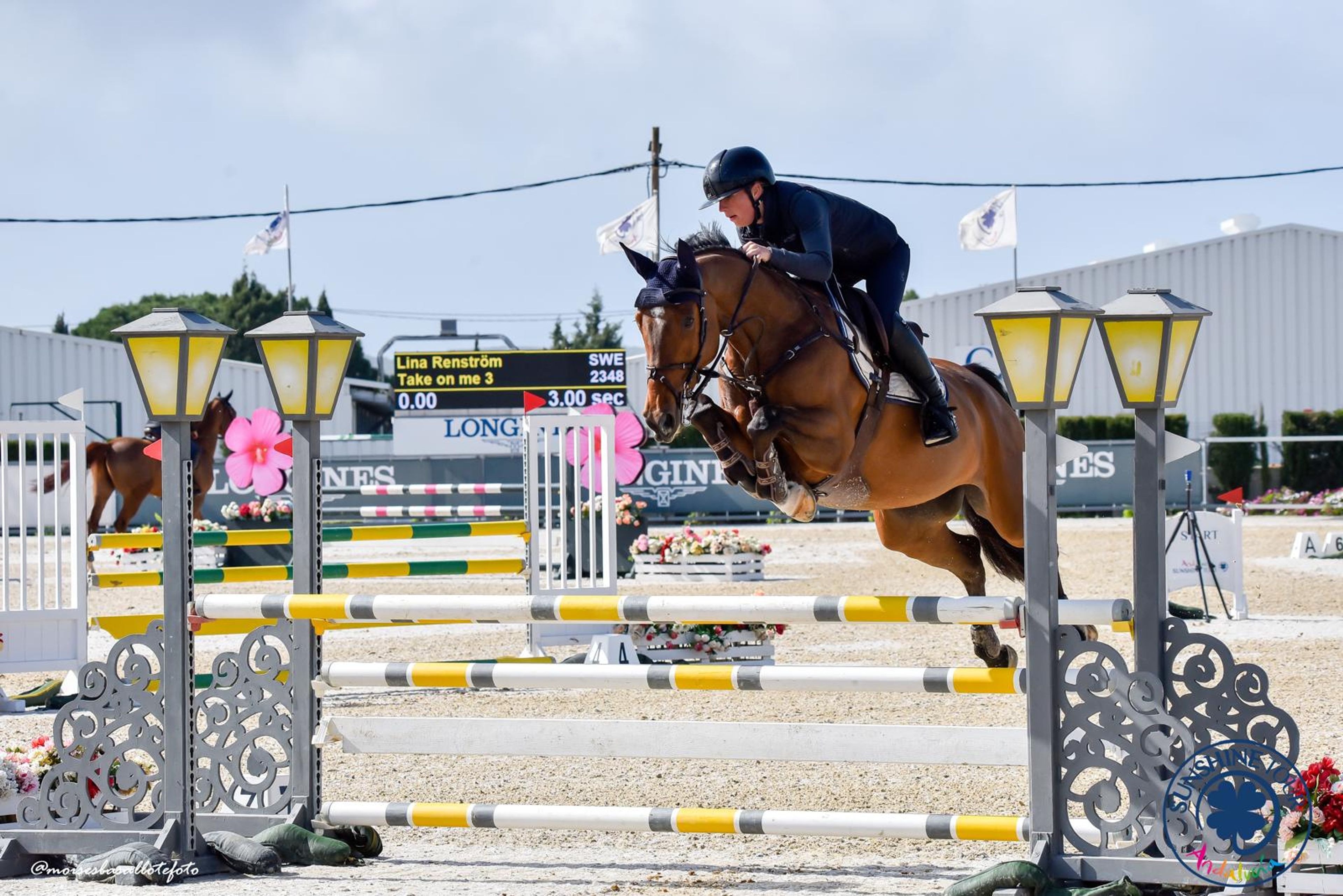 Take on Me 3 (TALOUBET Z x SIR SHUTTERFLY) - Image 1