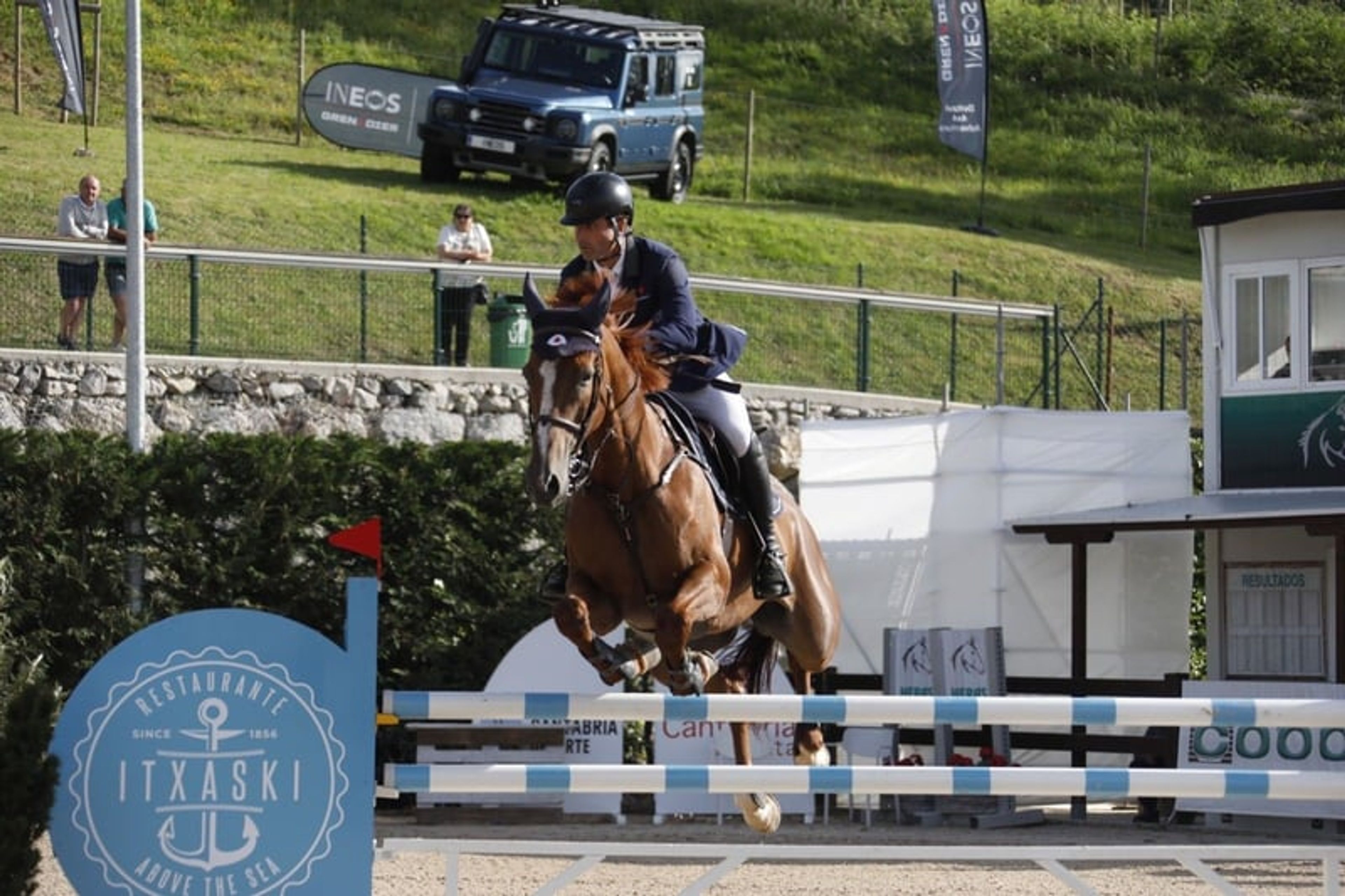 Breeding mare, competed at 1.45 m – Spanish Sport Horse Auction