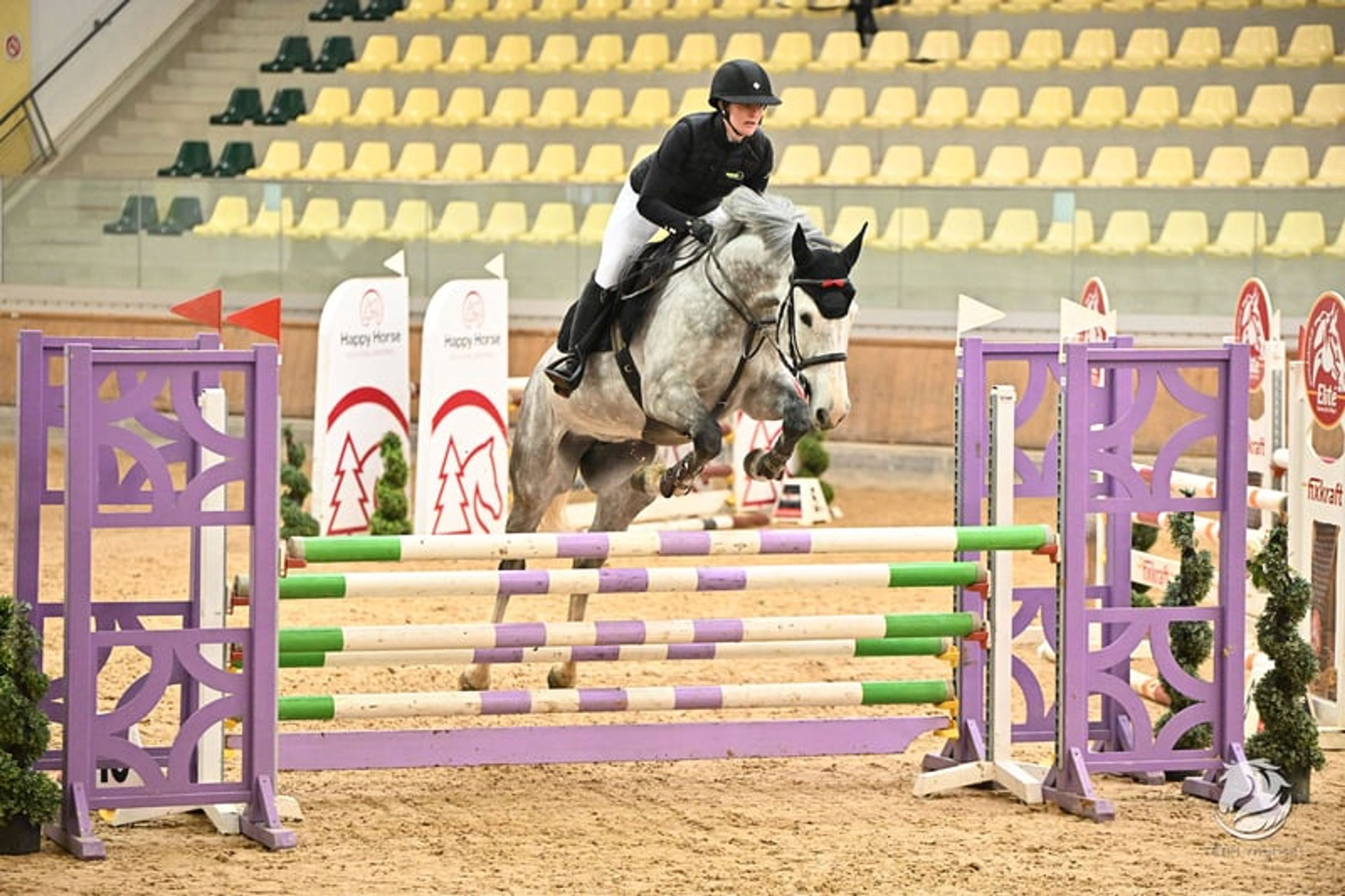 Energetic jumping mare - Image 2