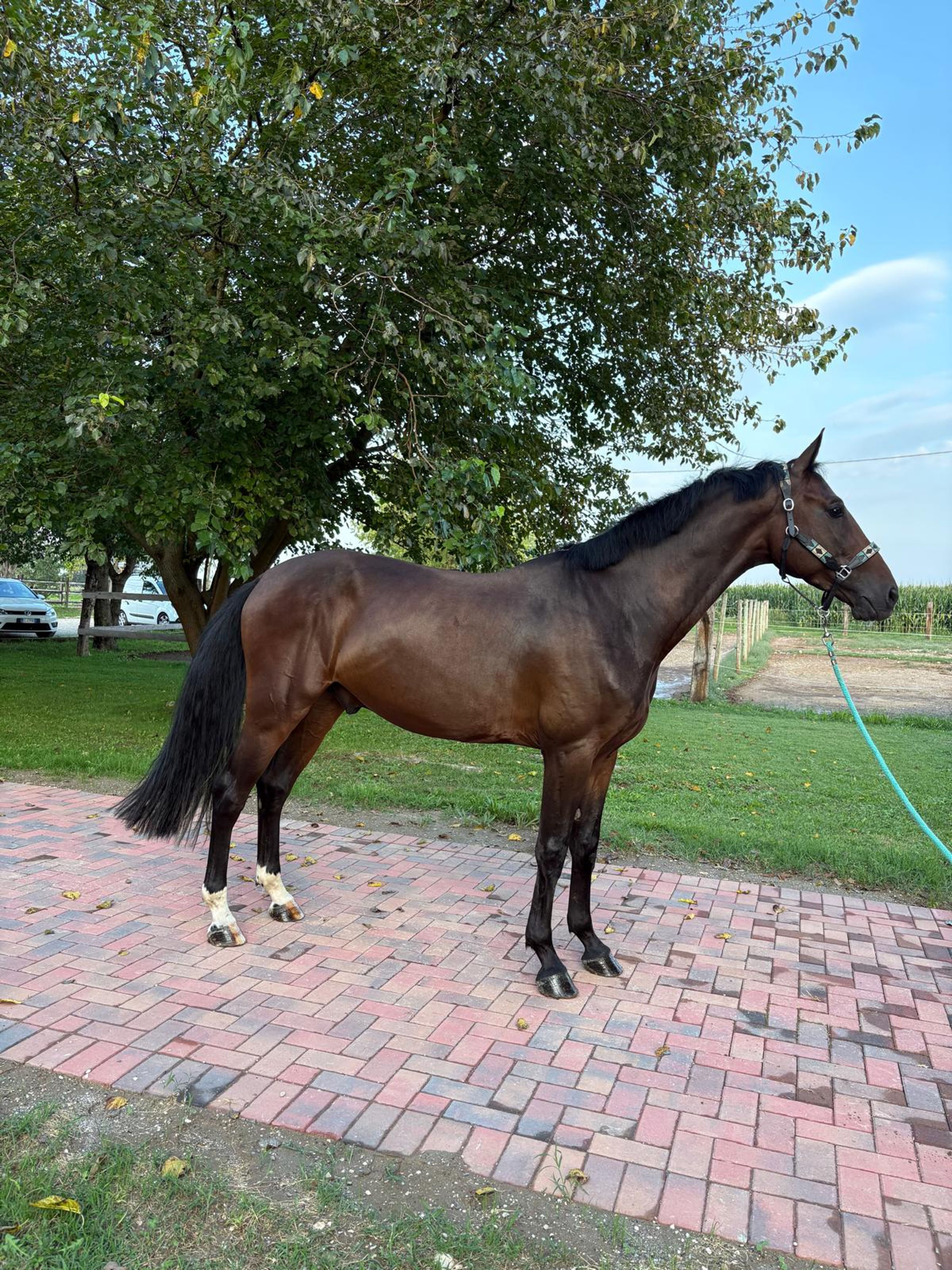 Illimitation ☆ (IMAGINATION x EMIR R) - Image 1