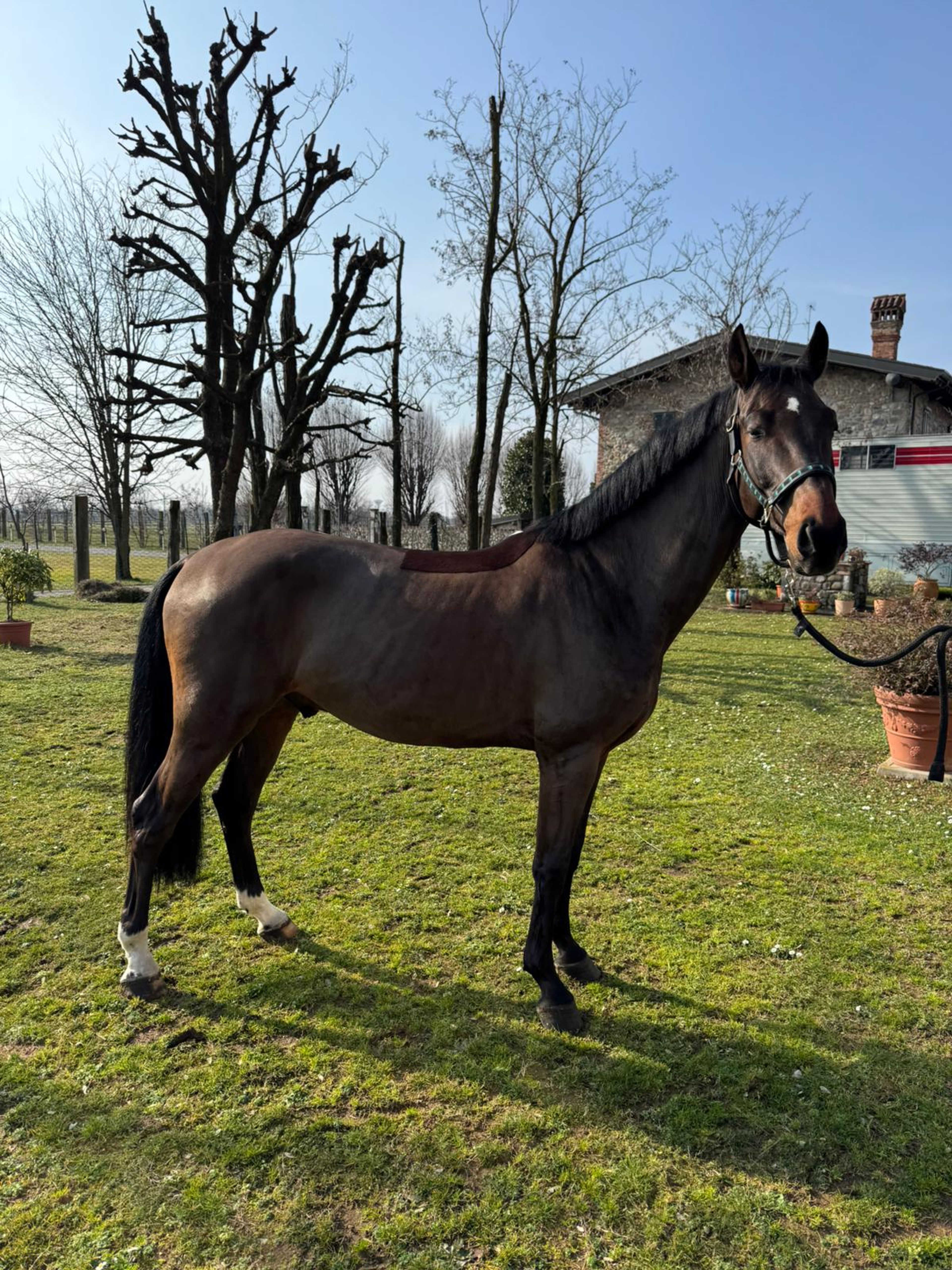 Illimitation ☆ (IMAGINATION x EMIR R) - Image 2