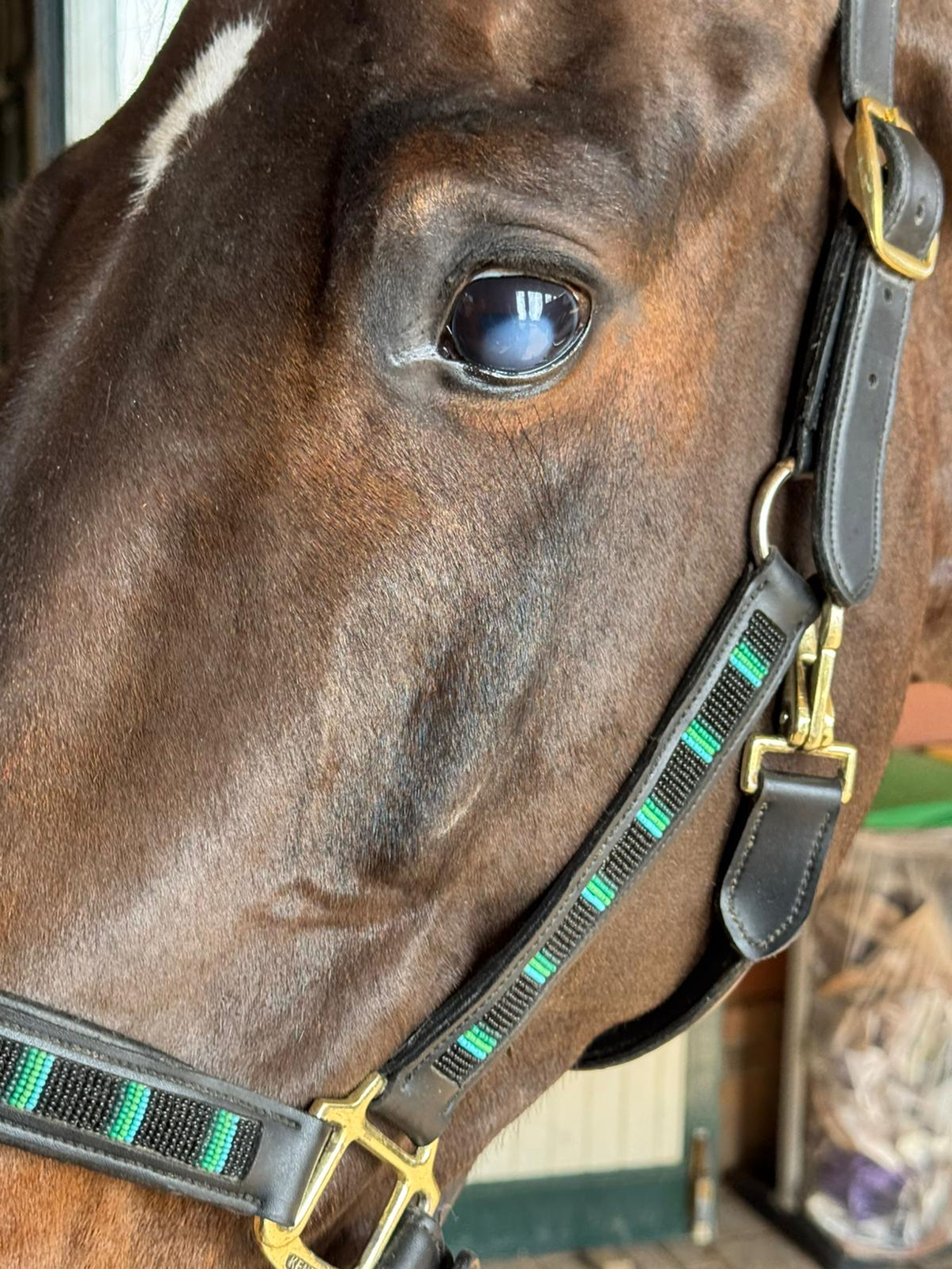 Illimitation ☆ (IMAGINATION x EMIR R) - Image 3