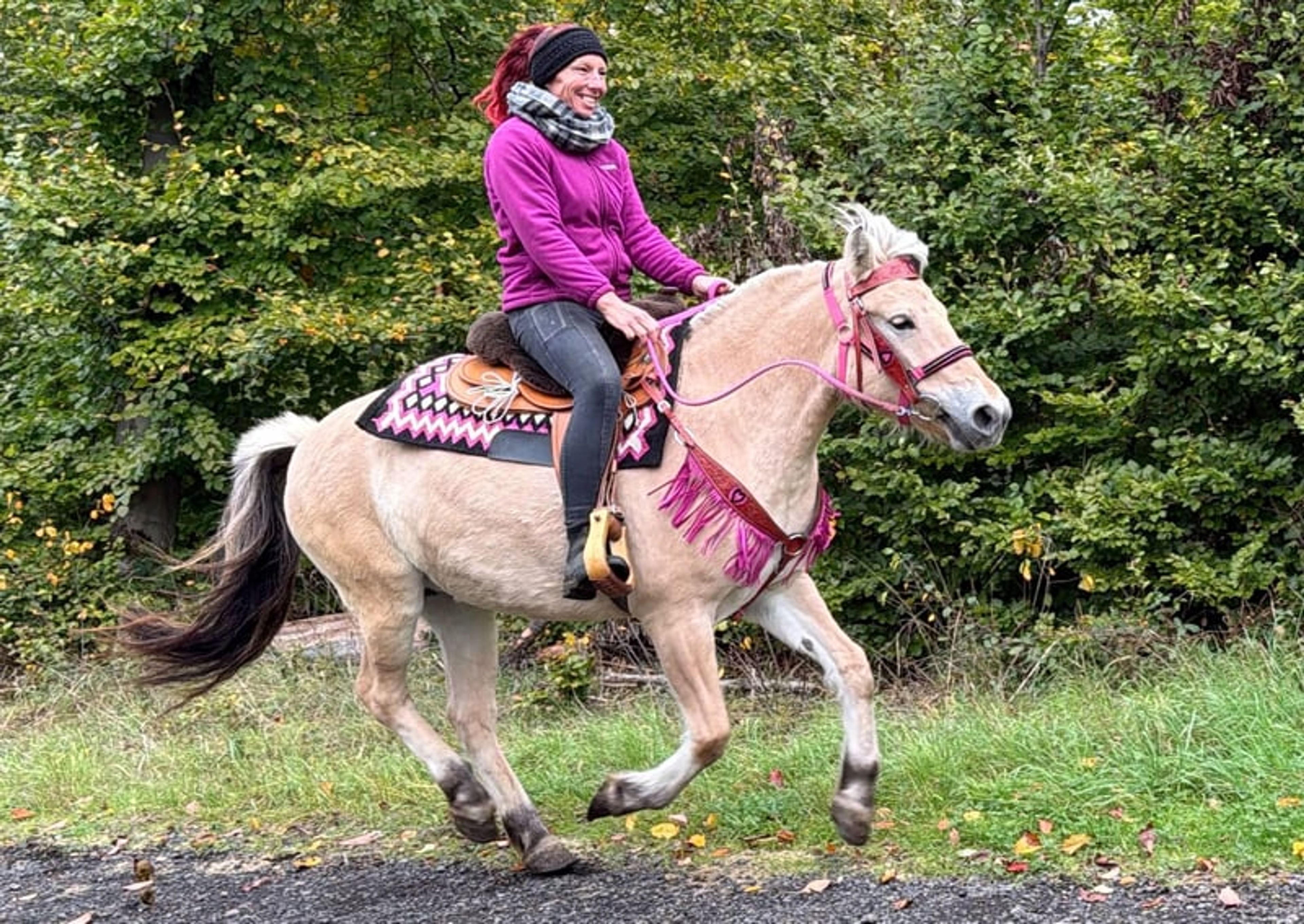 All-round leisure and trail riding