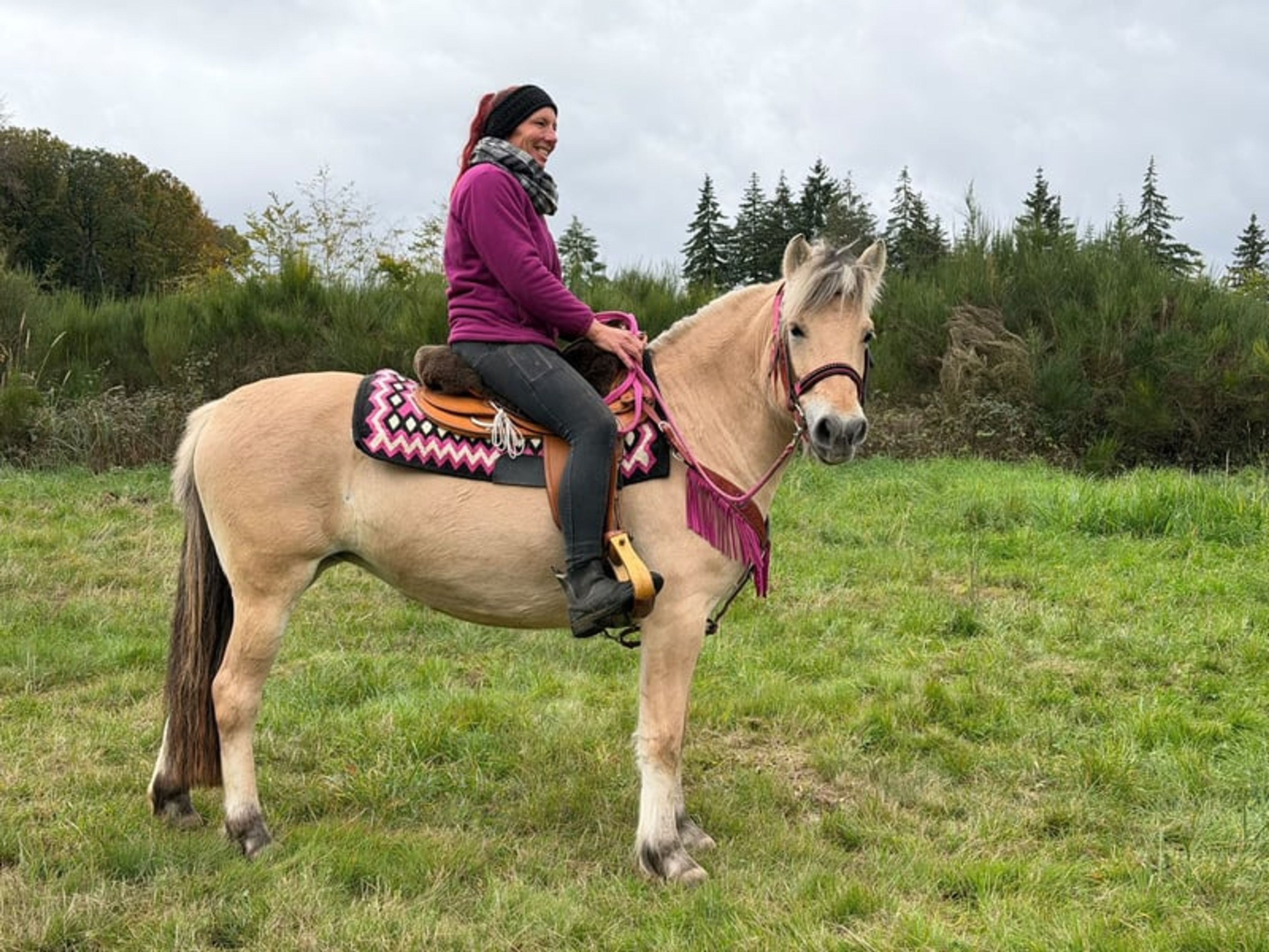All-round leisure and trail riding - Image 2