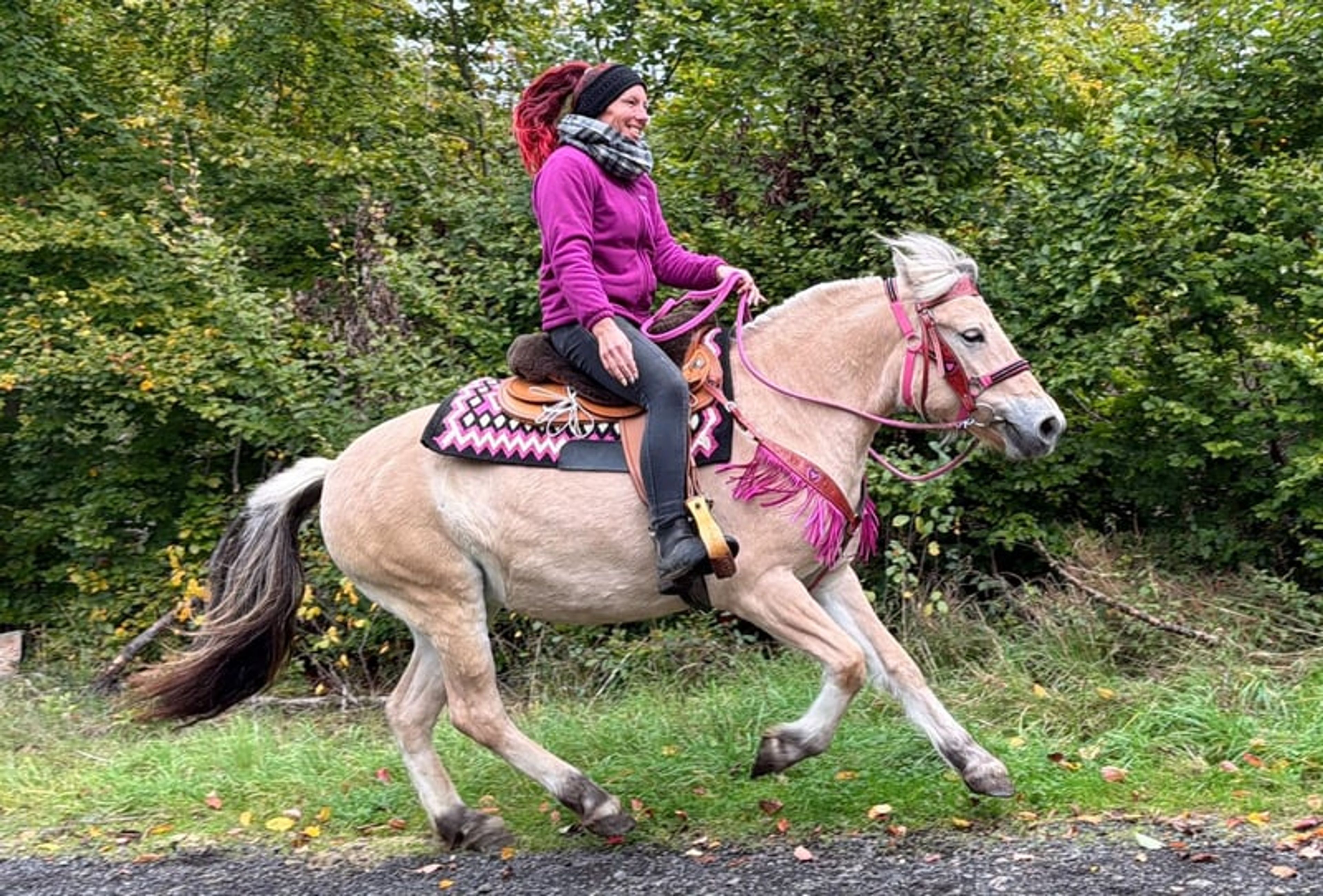 All-round leisure and trail riding - Image 3