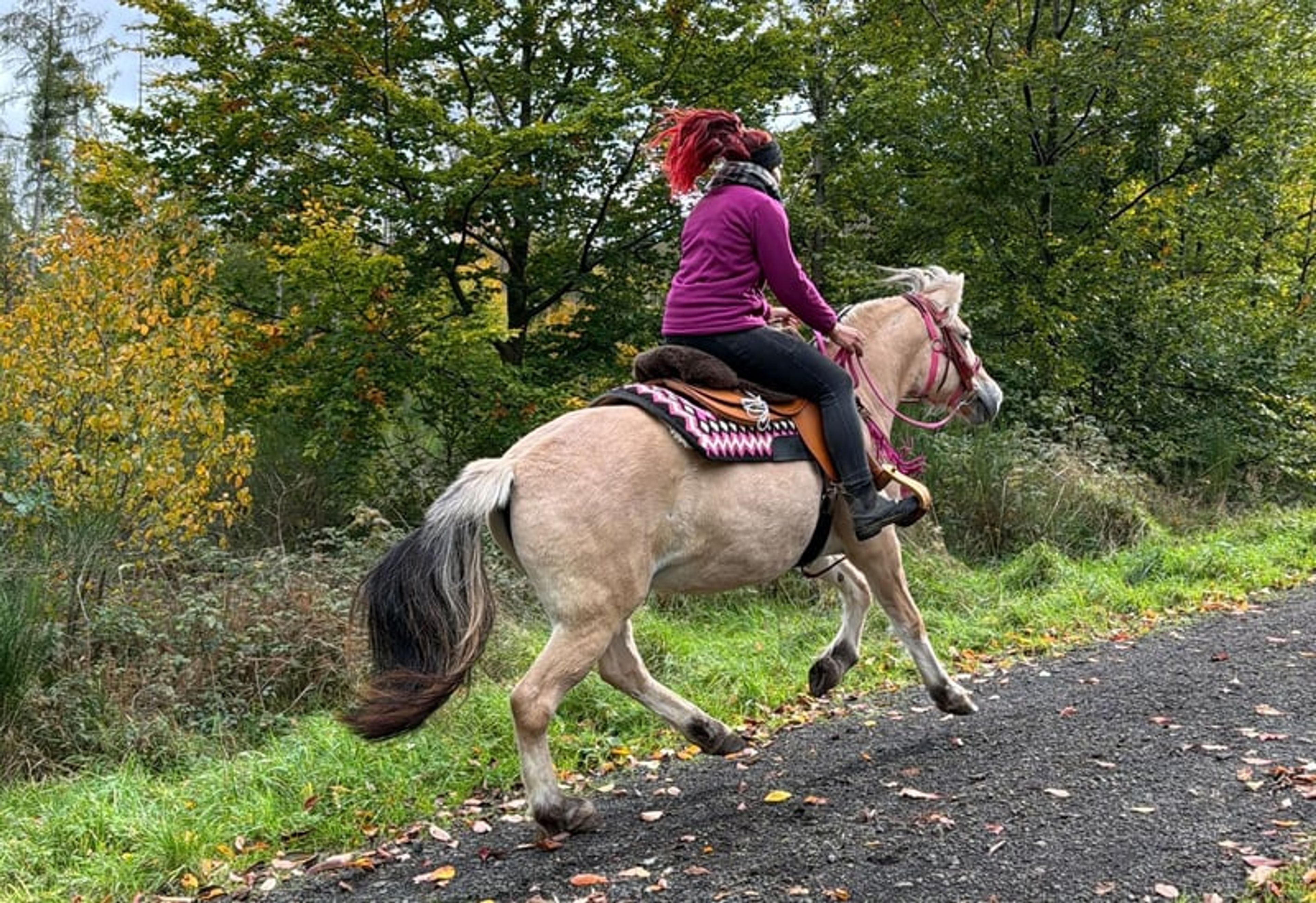 All-round leisure and trail riding - Image 4