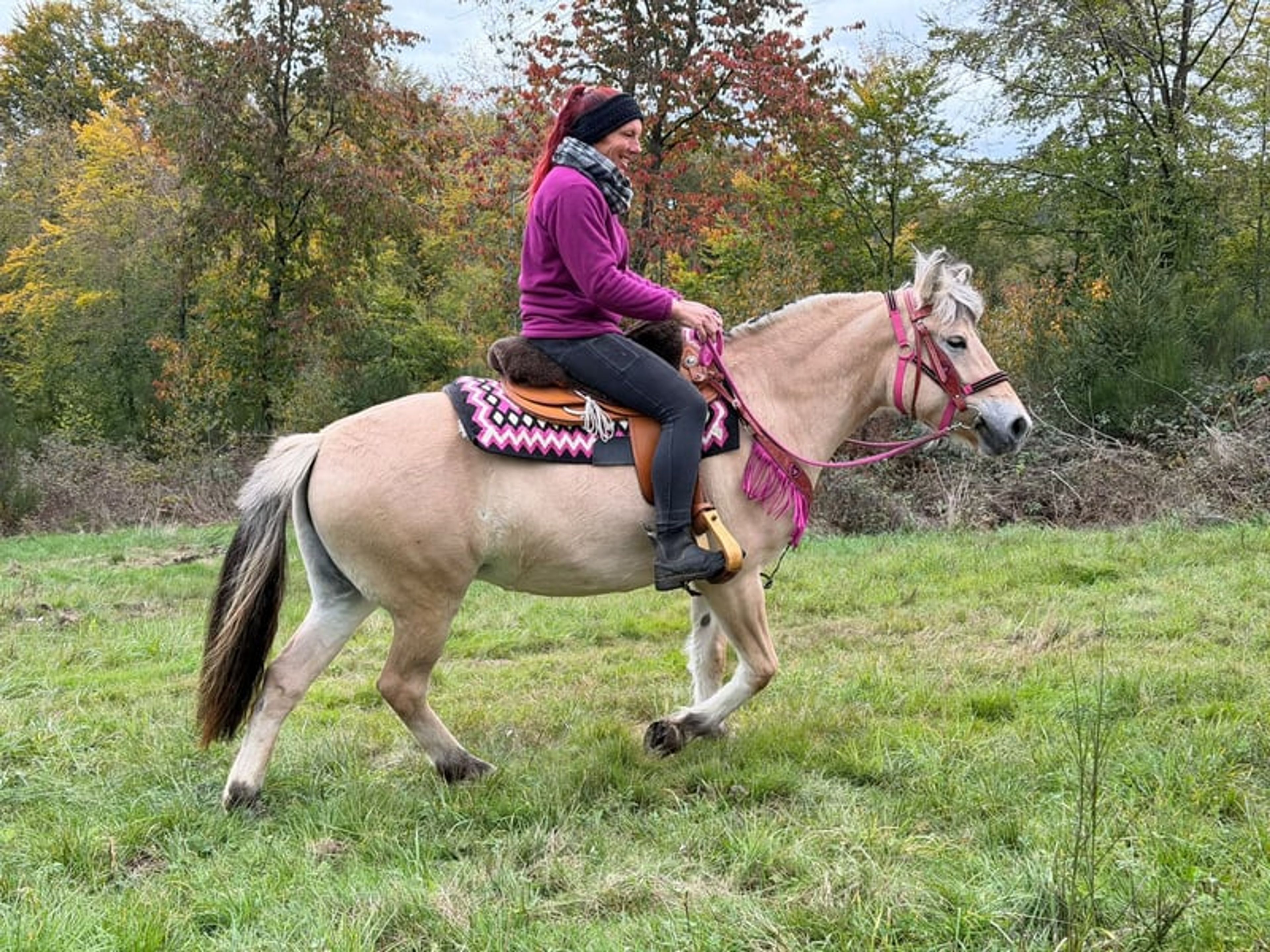 All-round leisure and trail riding - Image 5