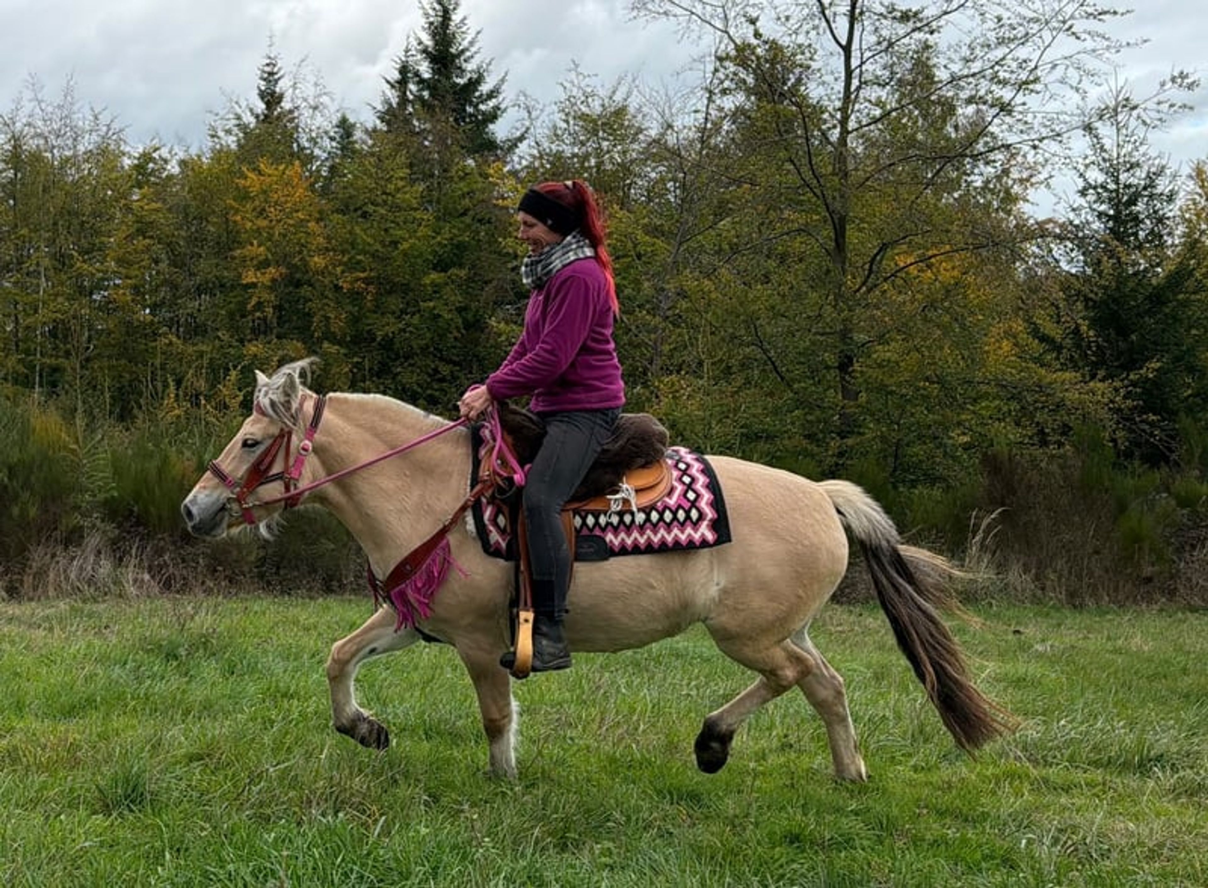 All-round leisure and trail riding - Image 6