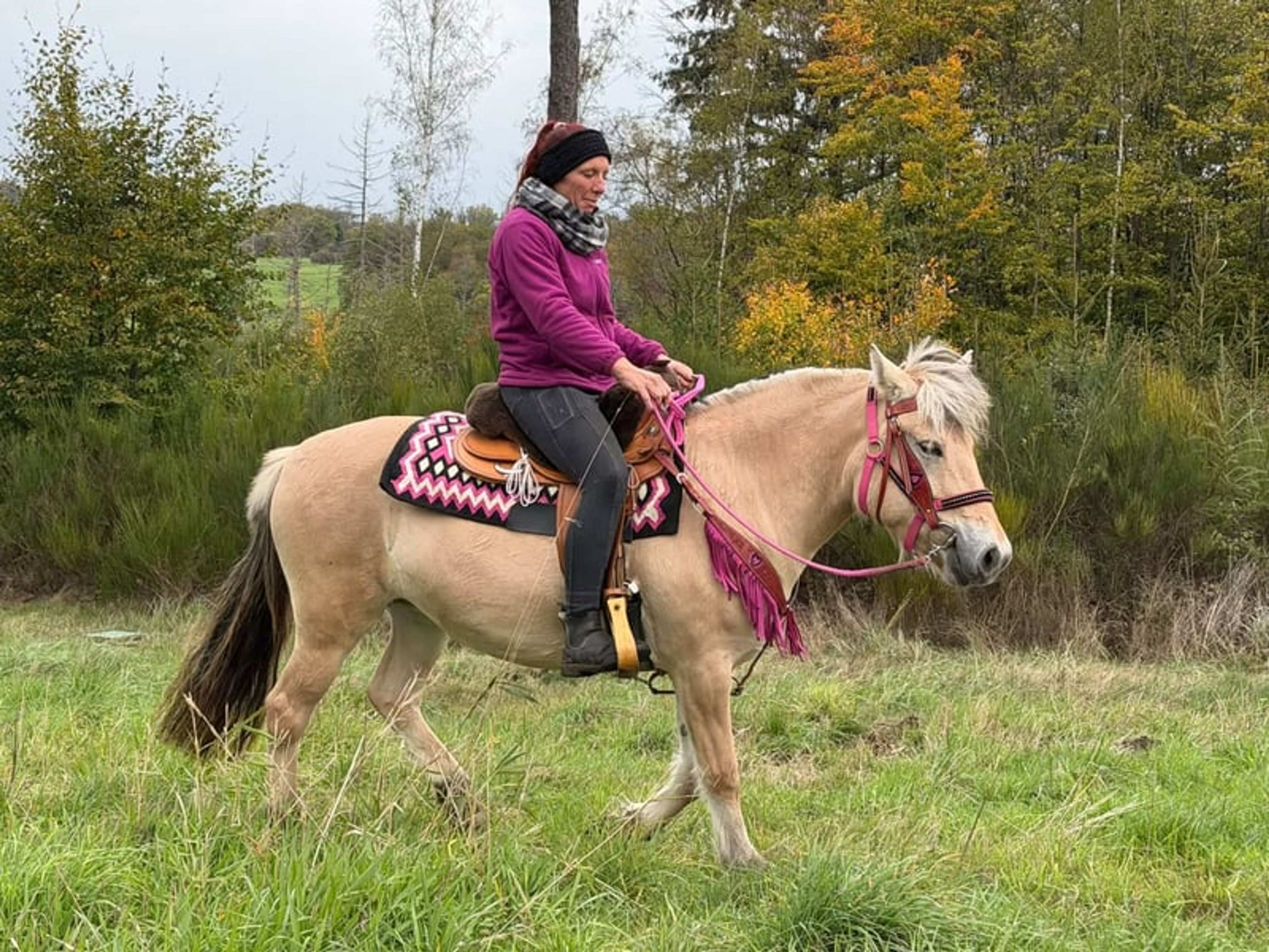 All-round leisure and trail riding - Image 8