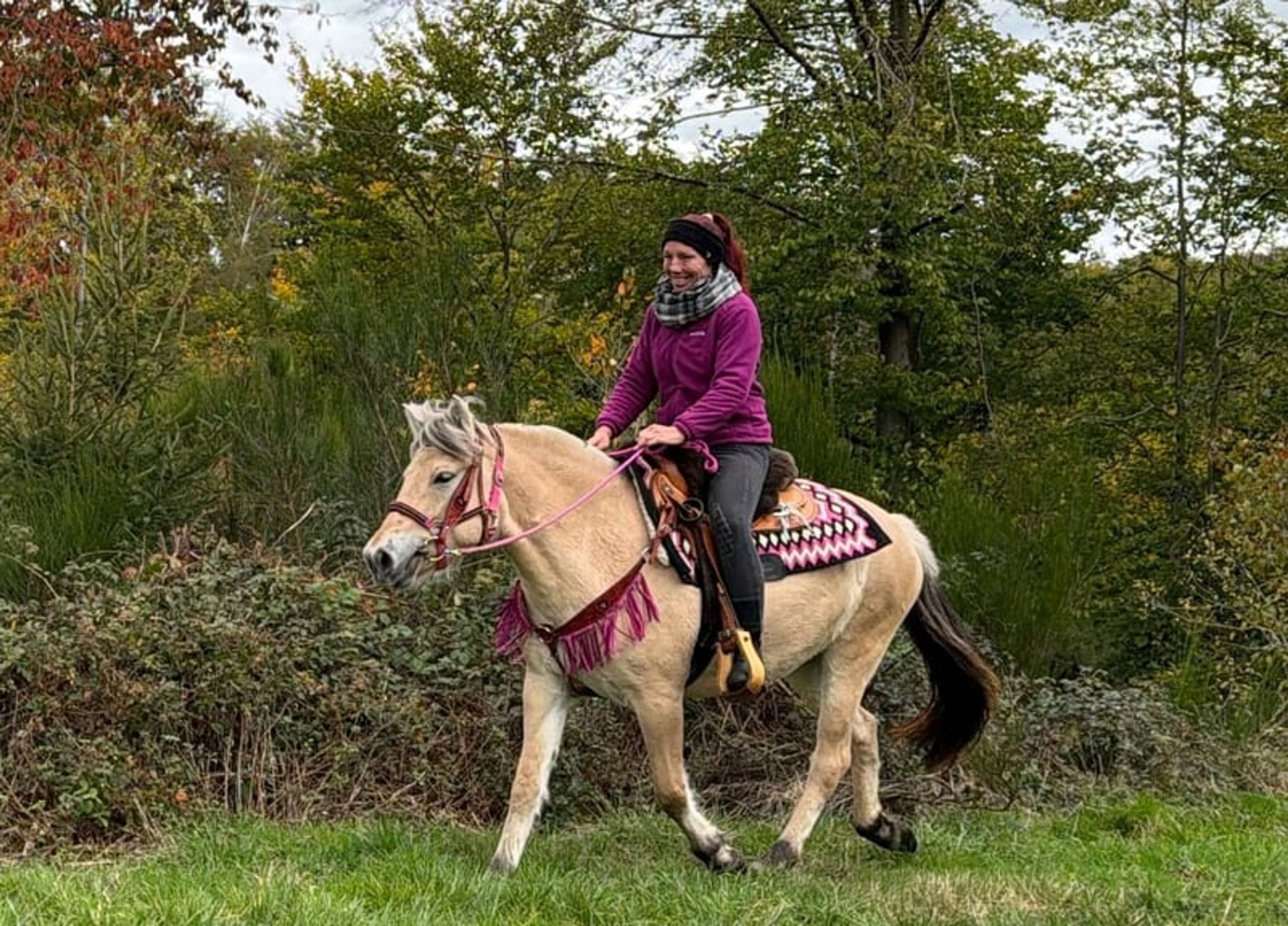 All-round leisure and trail riding - Image 9