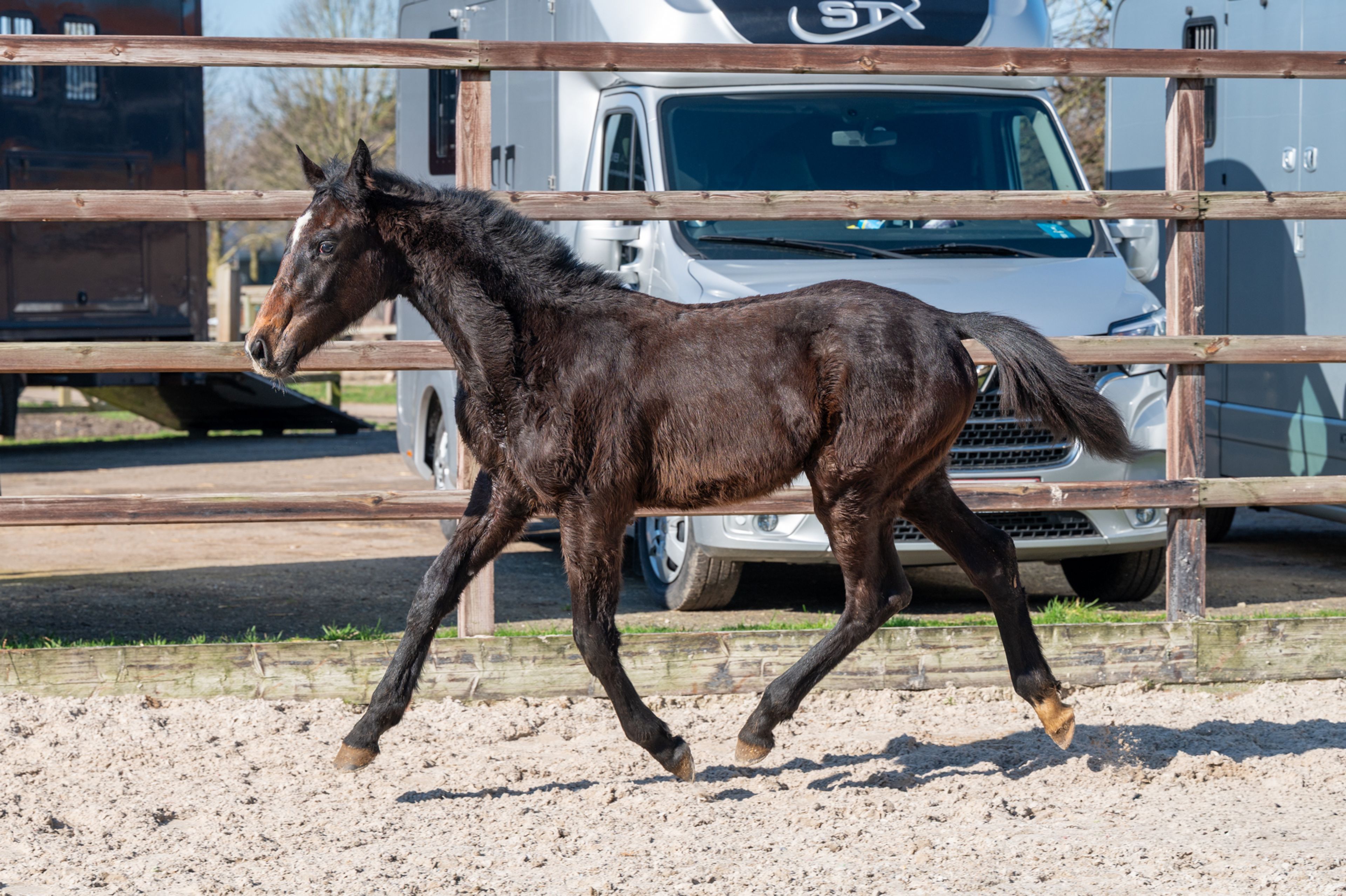 Chridas de L'esperance (DIDAS DE L'ESPERANCE x QUINT VH MAARLO Z) - Image 5