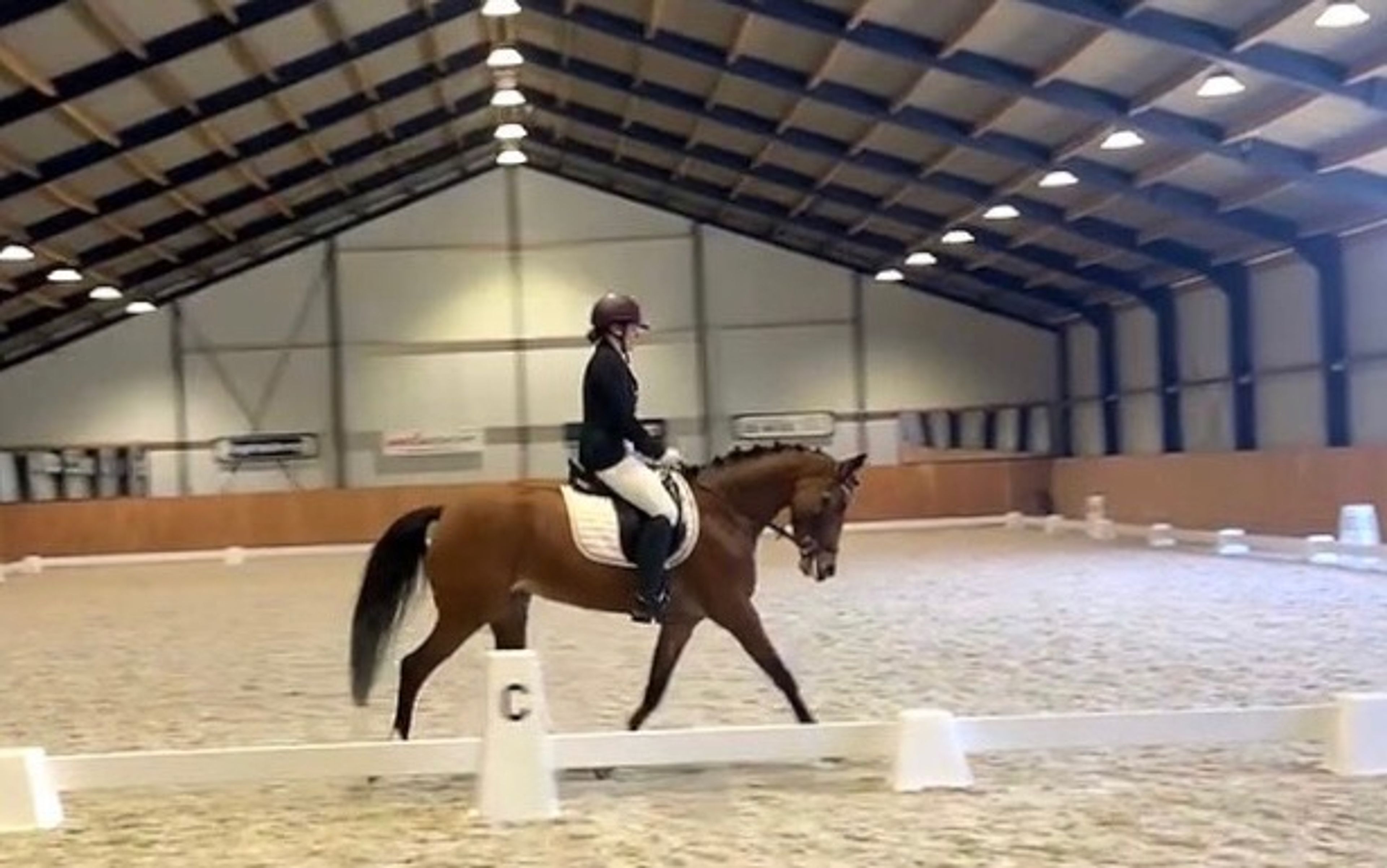 Meedenblik Gwen - Image 2