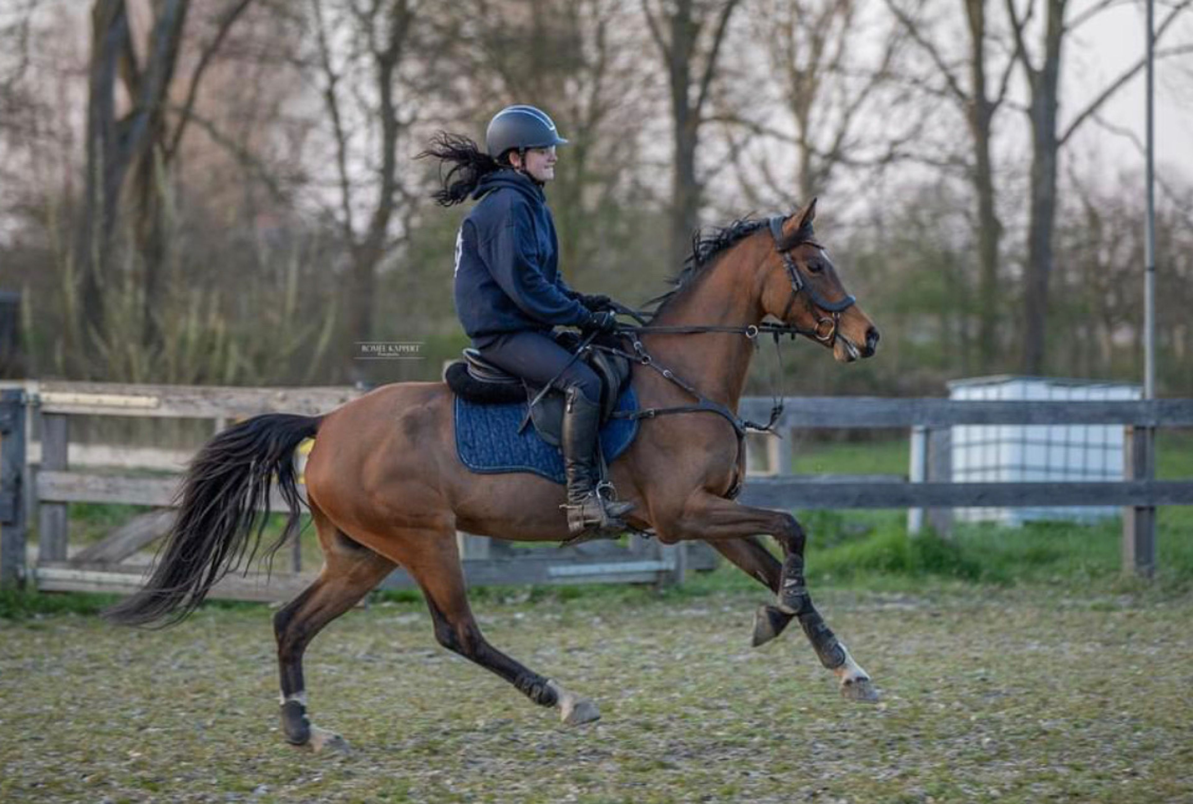 Meedenblik Gwen - Image 3