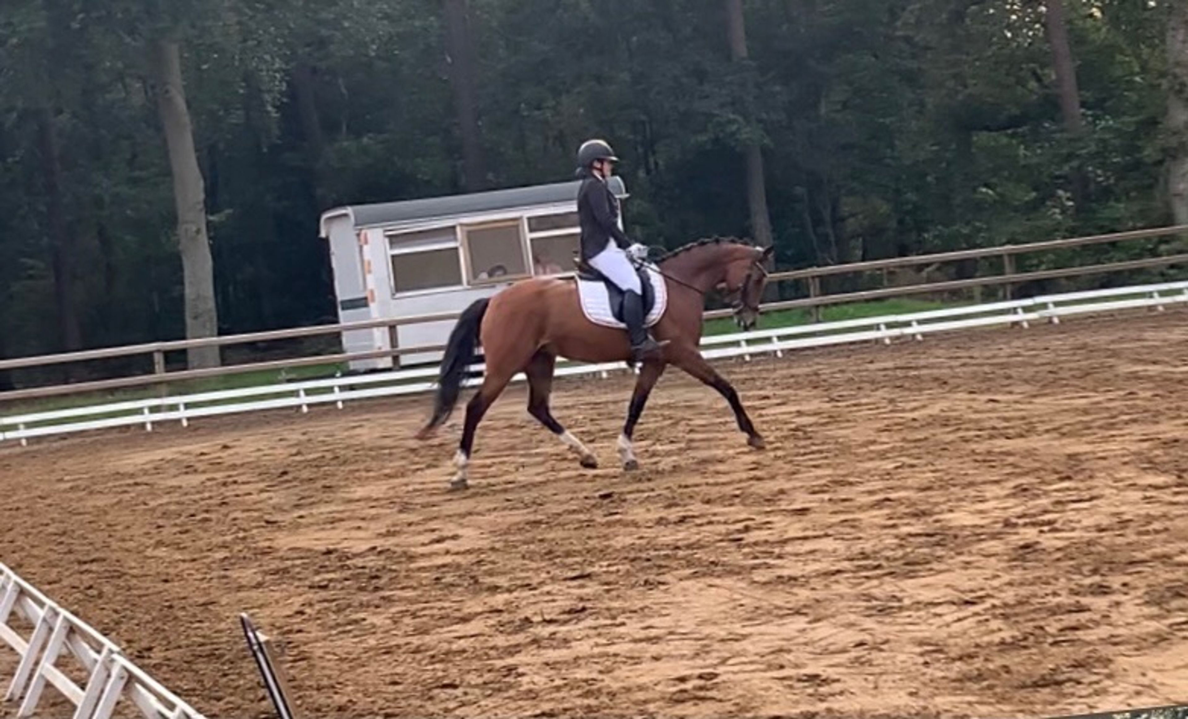 Meedenblik Gwen - Image 4