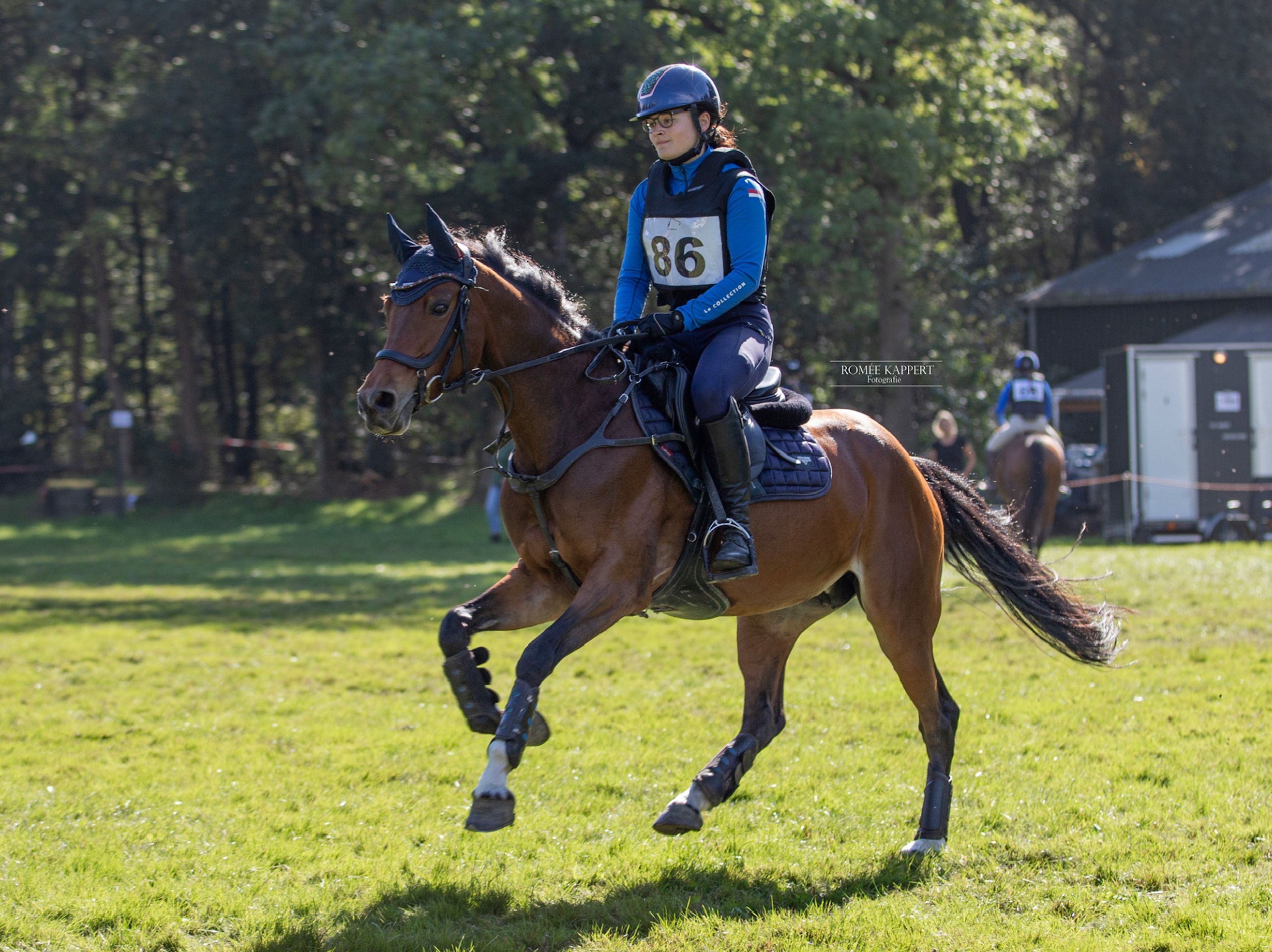 Meedenblik Gwen - Image 7