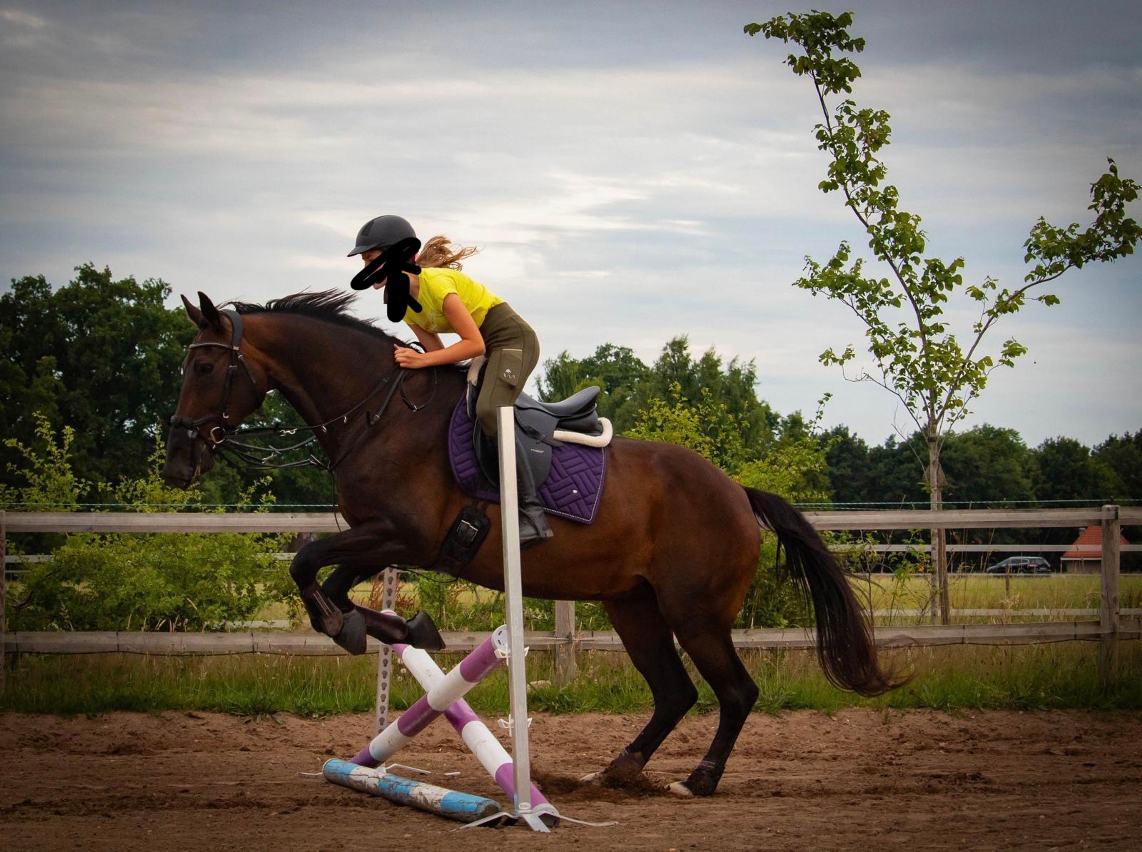 Elegance (Ella) - Image 8