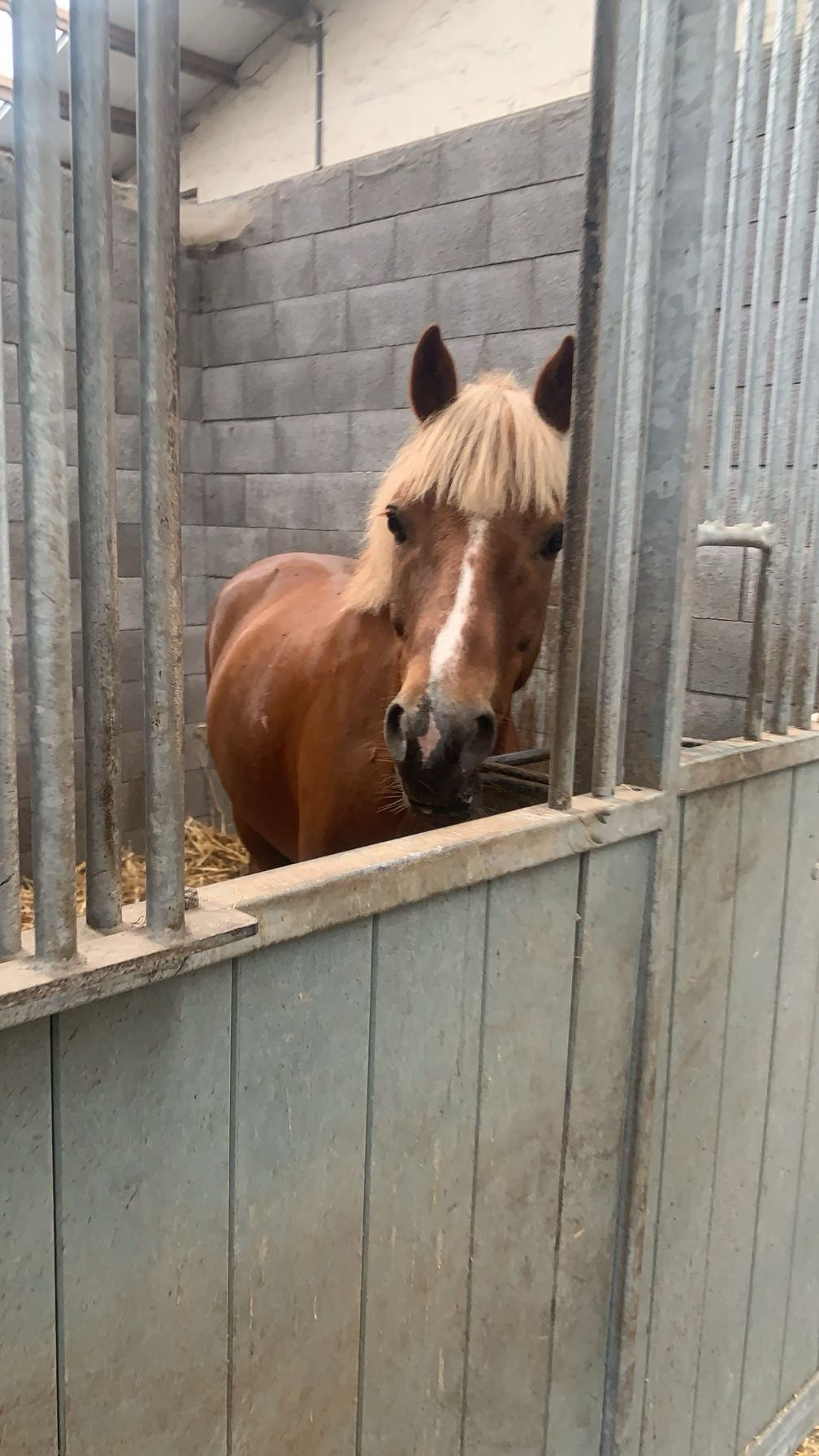 Big Boy Billy - Image 4