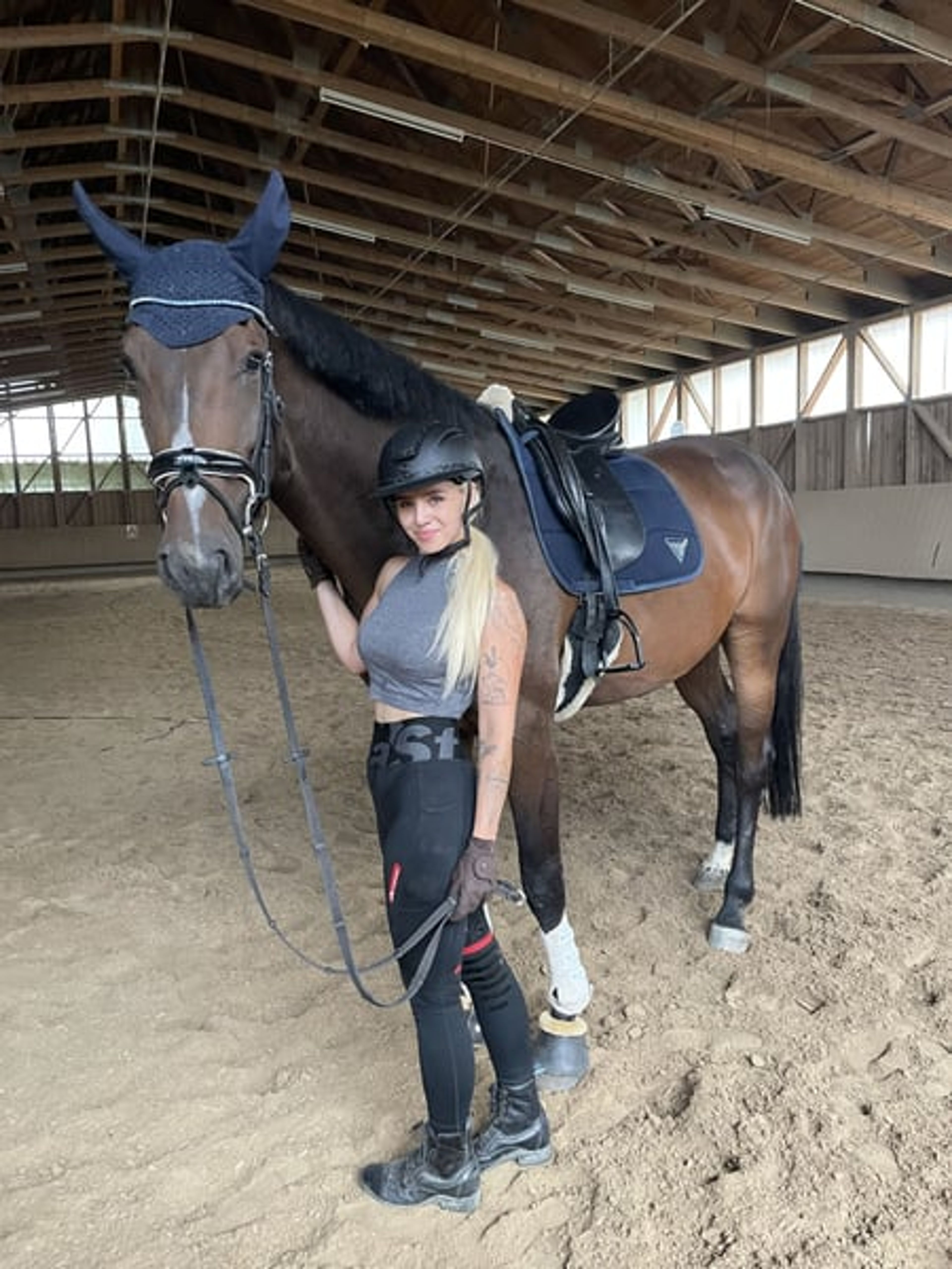 Hanoverian mare with top show-jumping bloodlines - Image 3