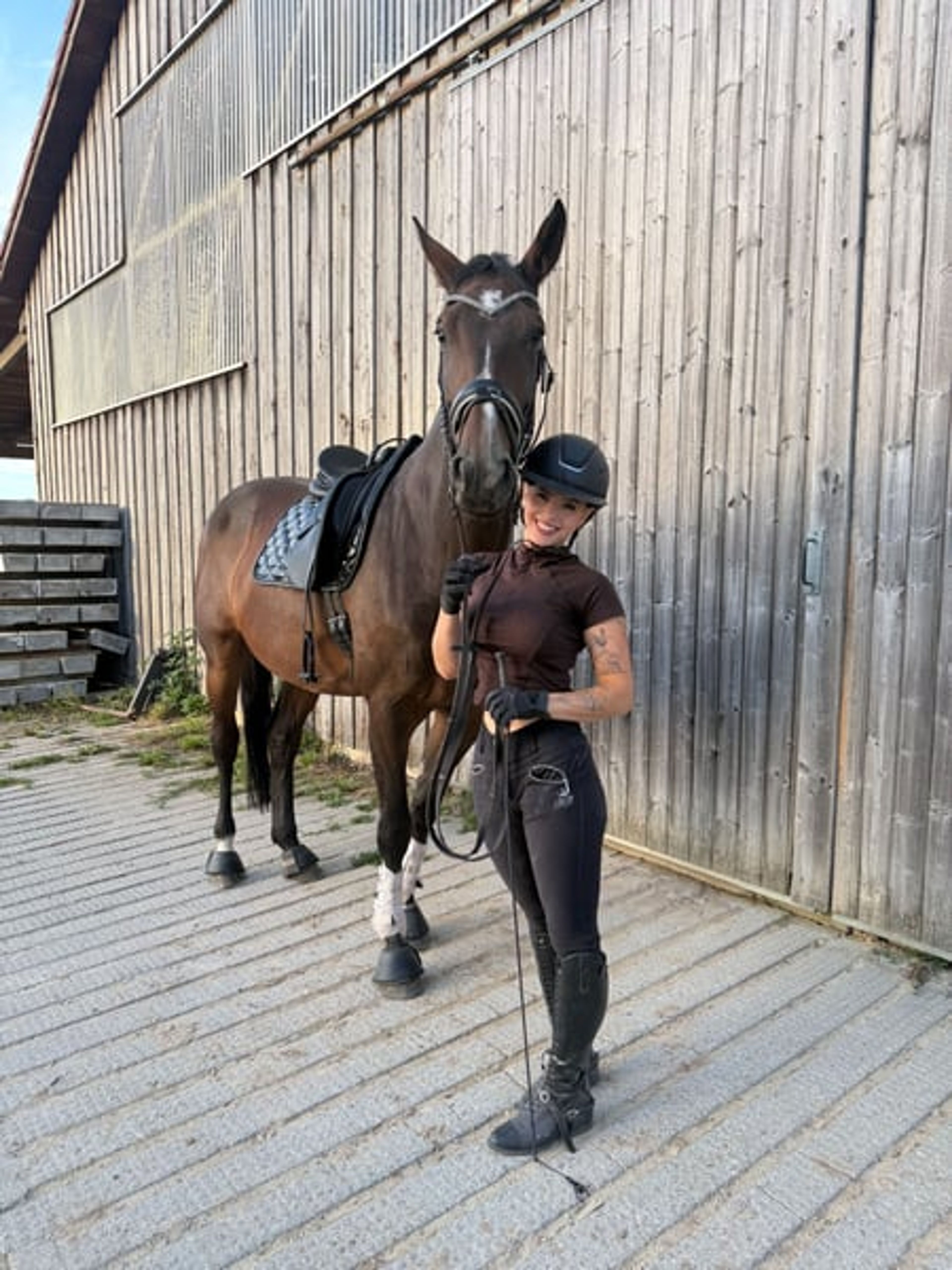 Hanoverian mare with top show-jumping bloodlines - Image 7
