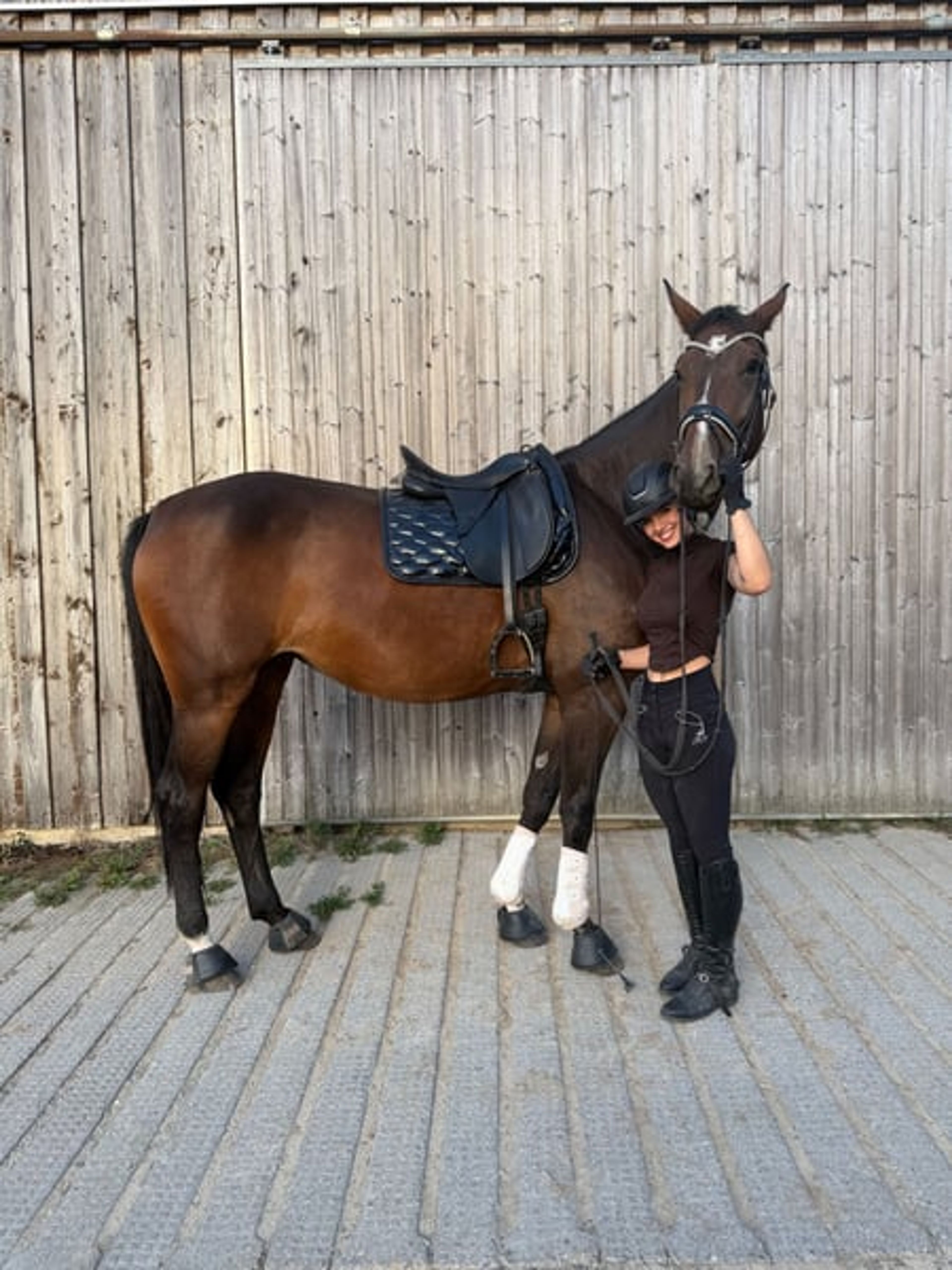 Hanoverian mare with top show-jumping bloodlines - Image 8