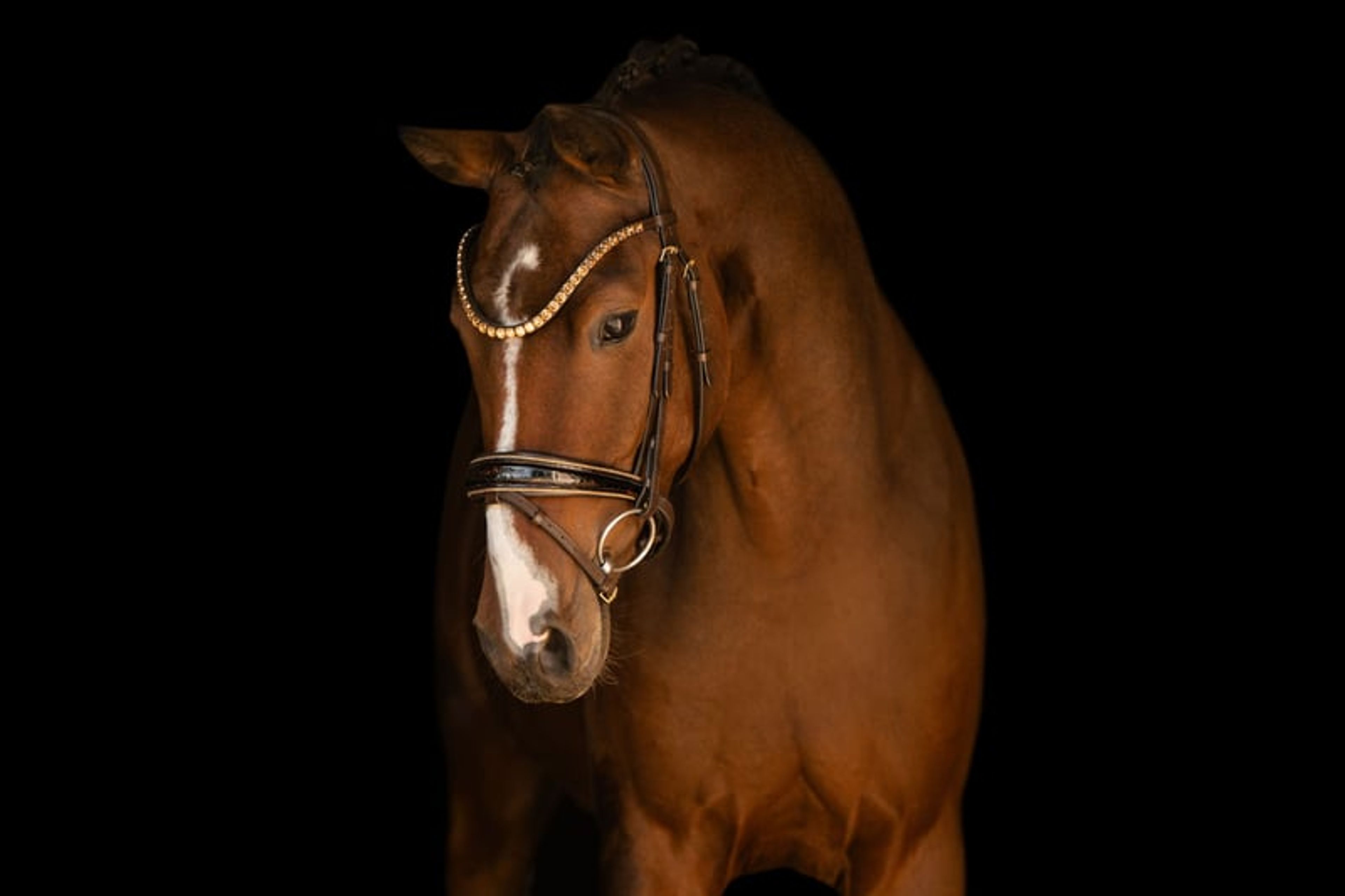 ⚜️Outstanding Schoolmaster of Exceptional Quality⚜️ - Image 5