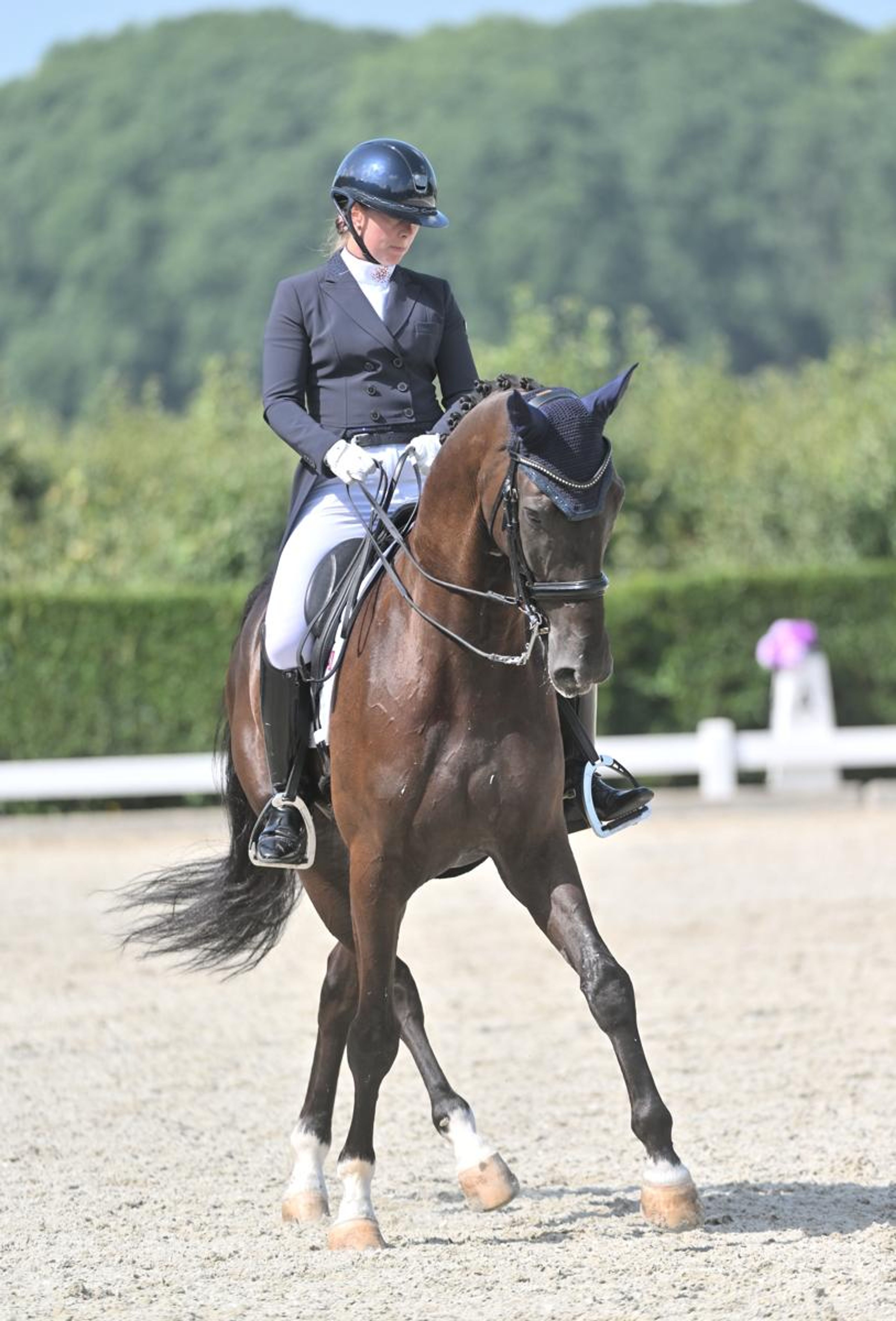 Lavendel-h - Image 4