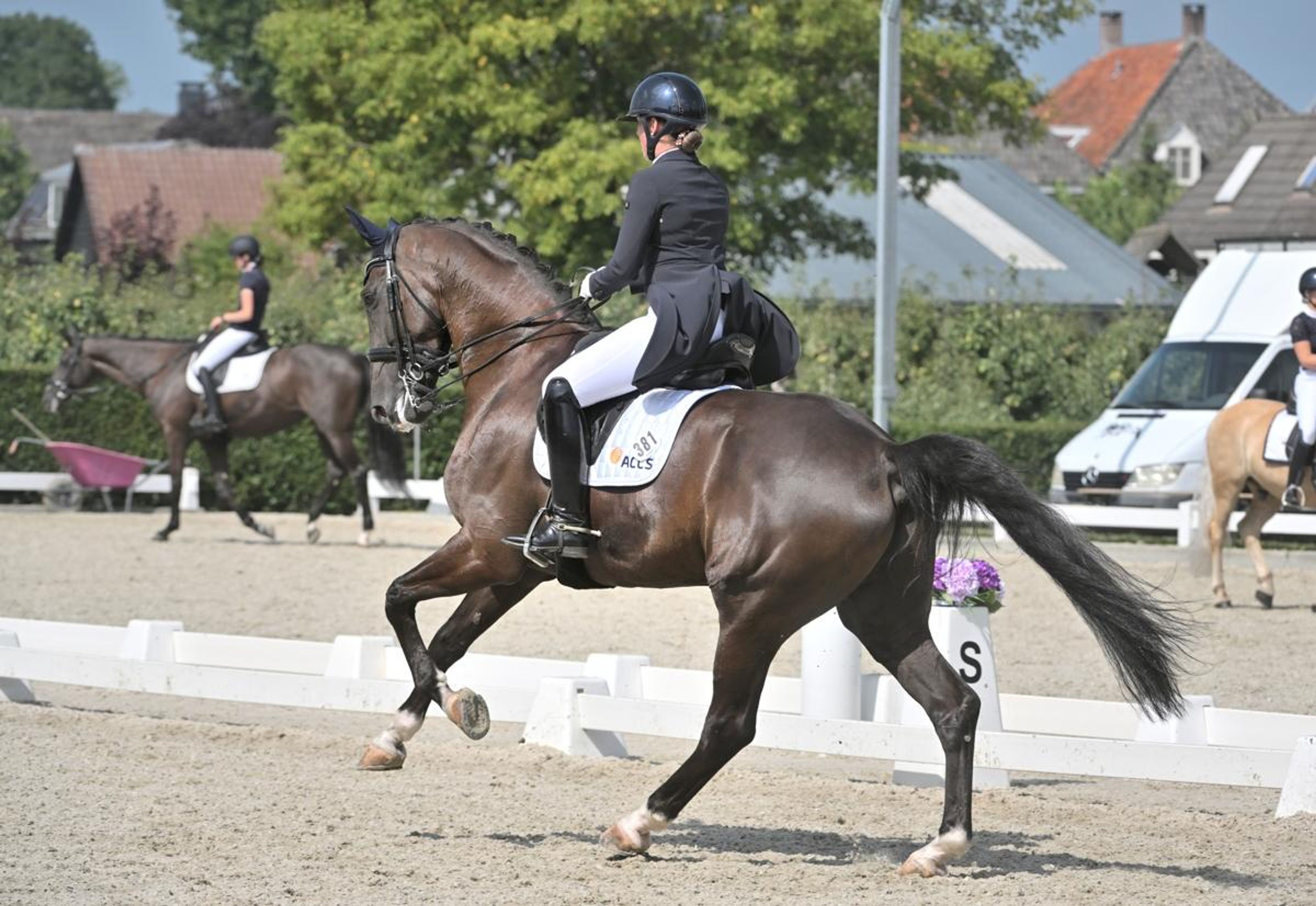 Lavendel-h - Image 5