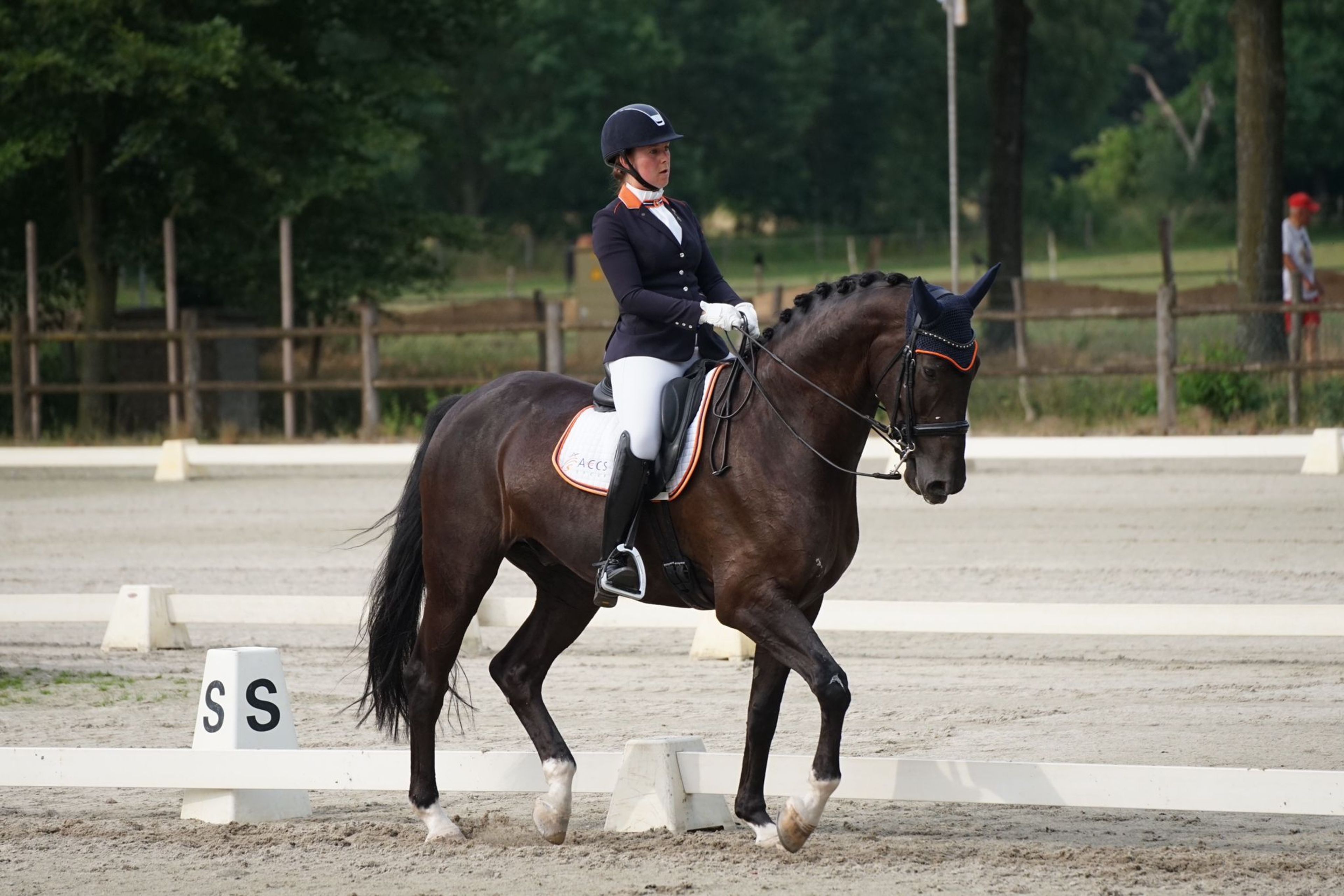 Lavendel-h - Image 7