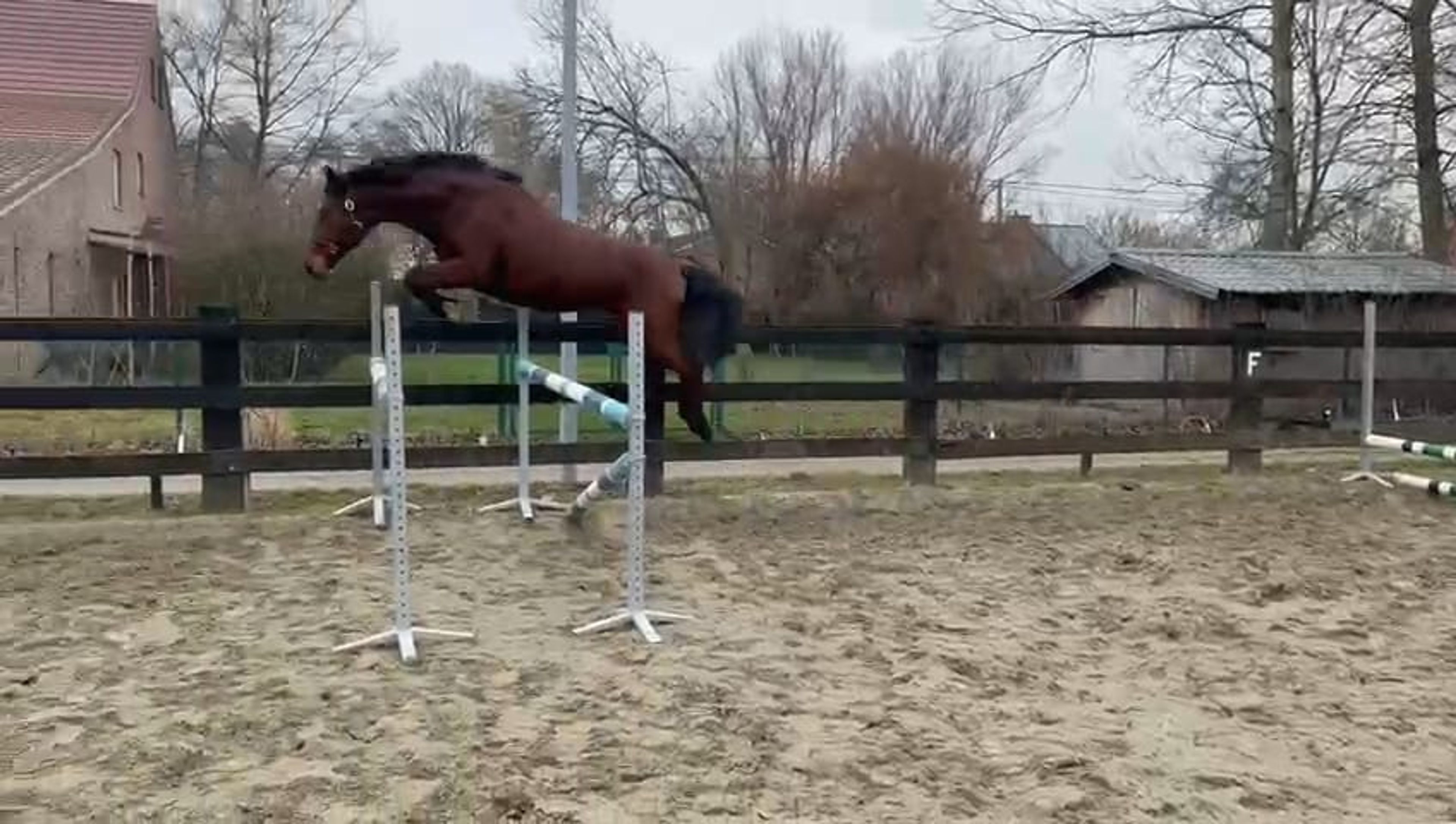 Athena VD Wilgenhoeve ☆ (THIO VAN T & L x H&M CHILLI WILLI) - Image 1