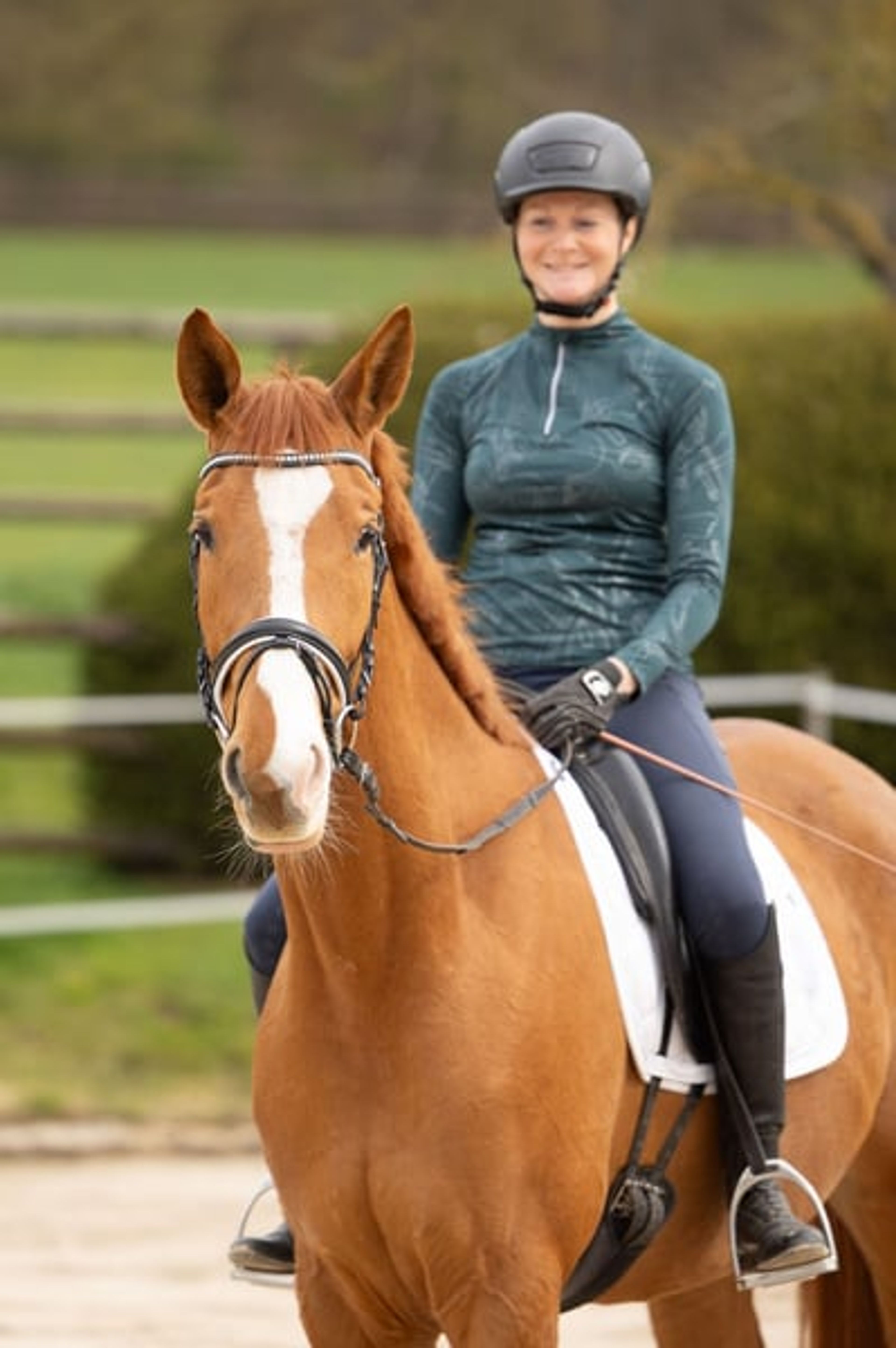 Friendly all-rounder suitable for all disciplines of equestrian sport - Image 4