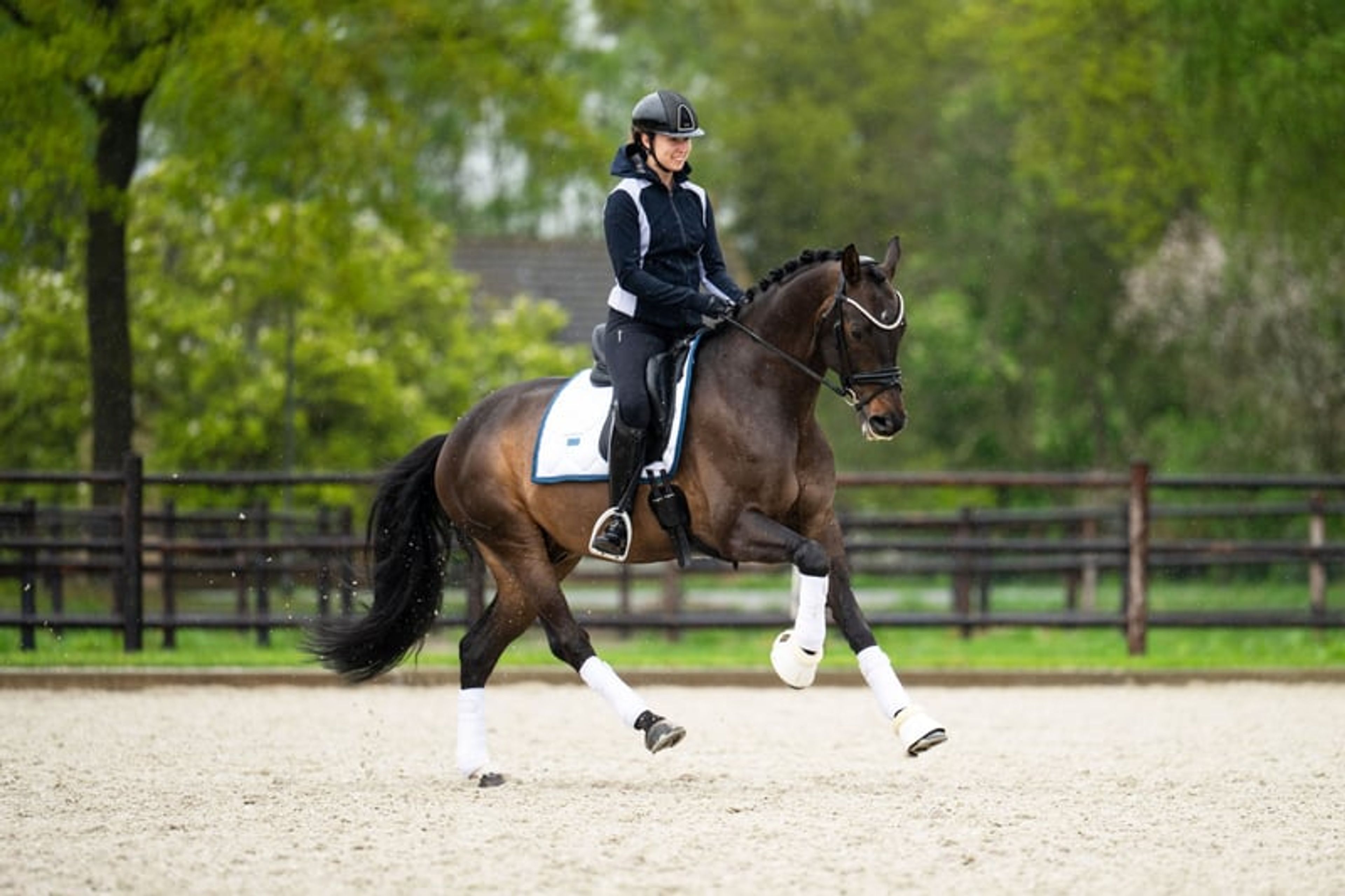 Lord Glamourdale - Exciting 9yo gelding For Sale! - Image 4