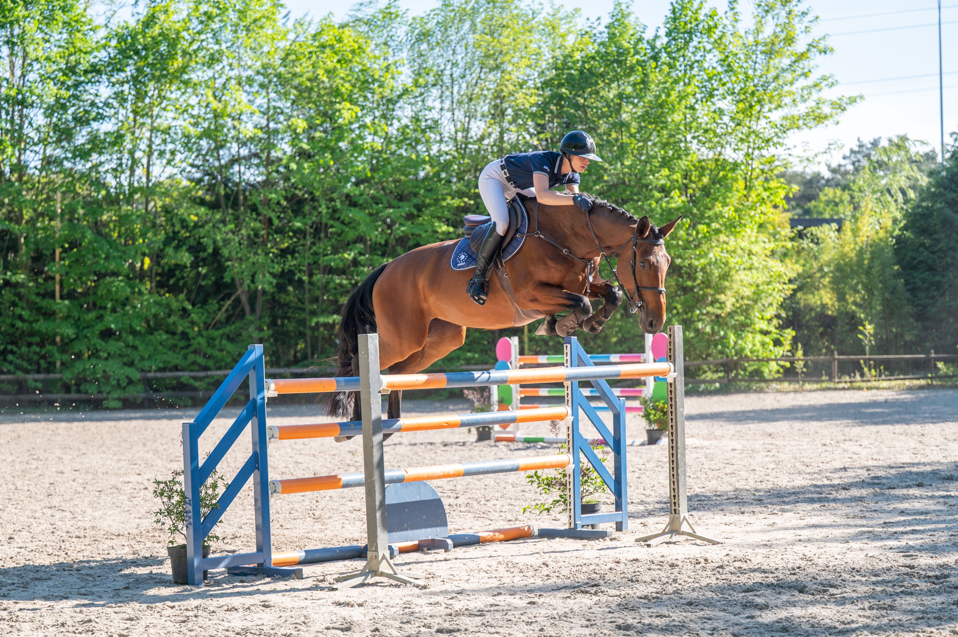 Appetite (ADSL x DARIUS)