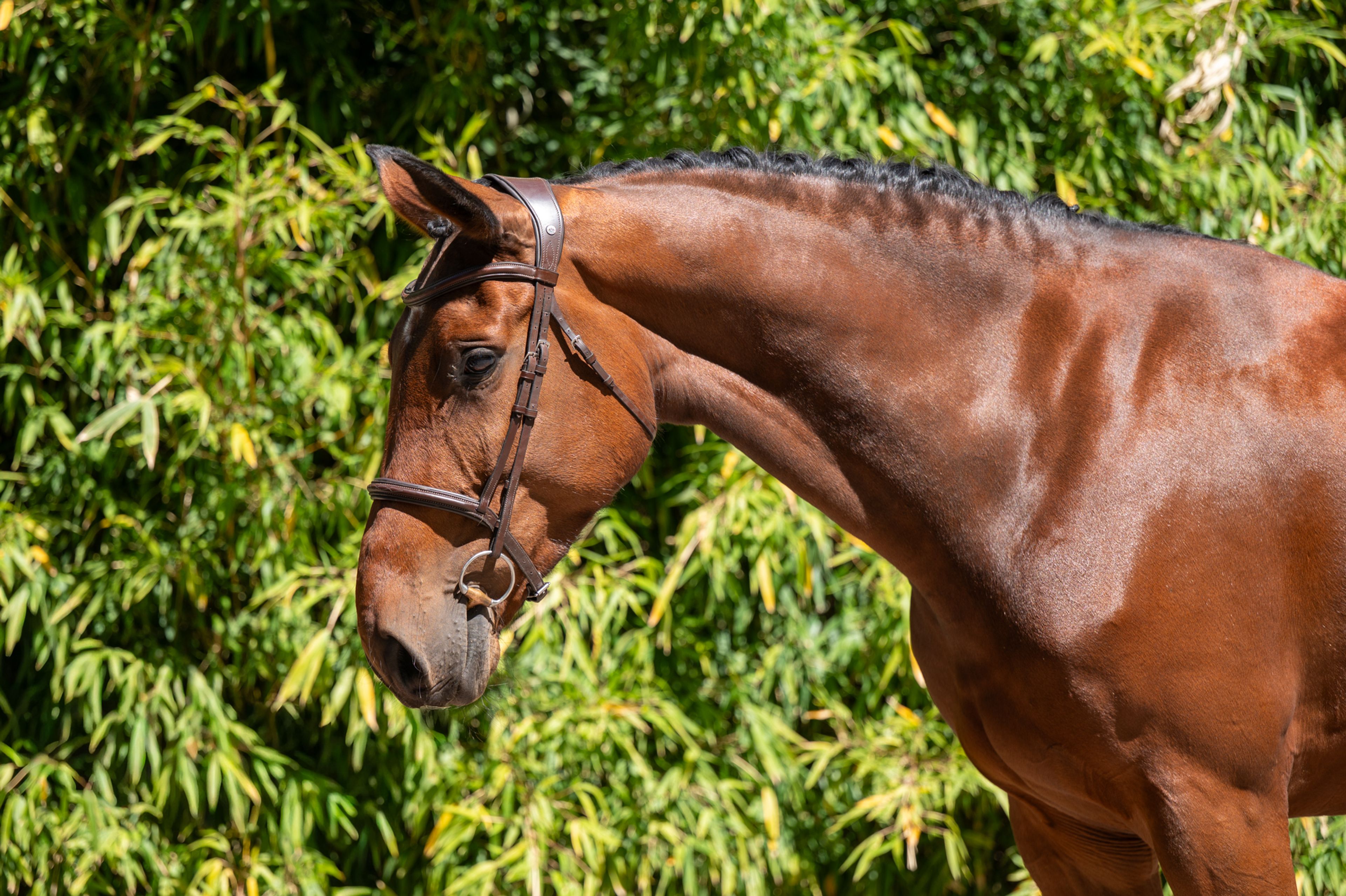 Appetite (ADSL x DARIUS) - Image 11
