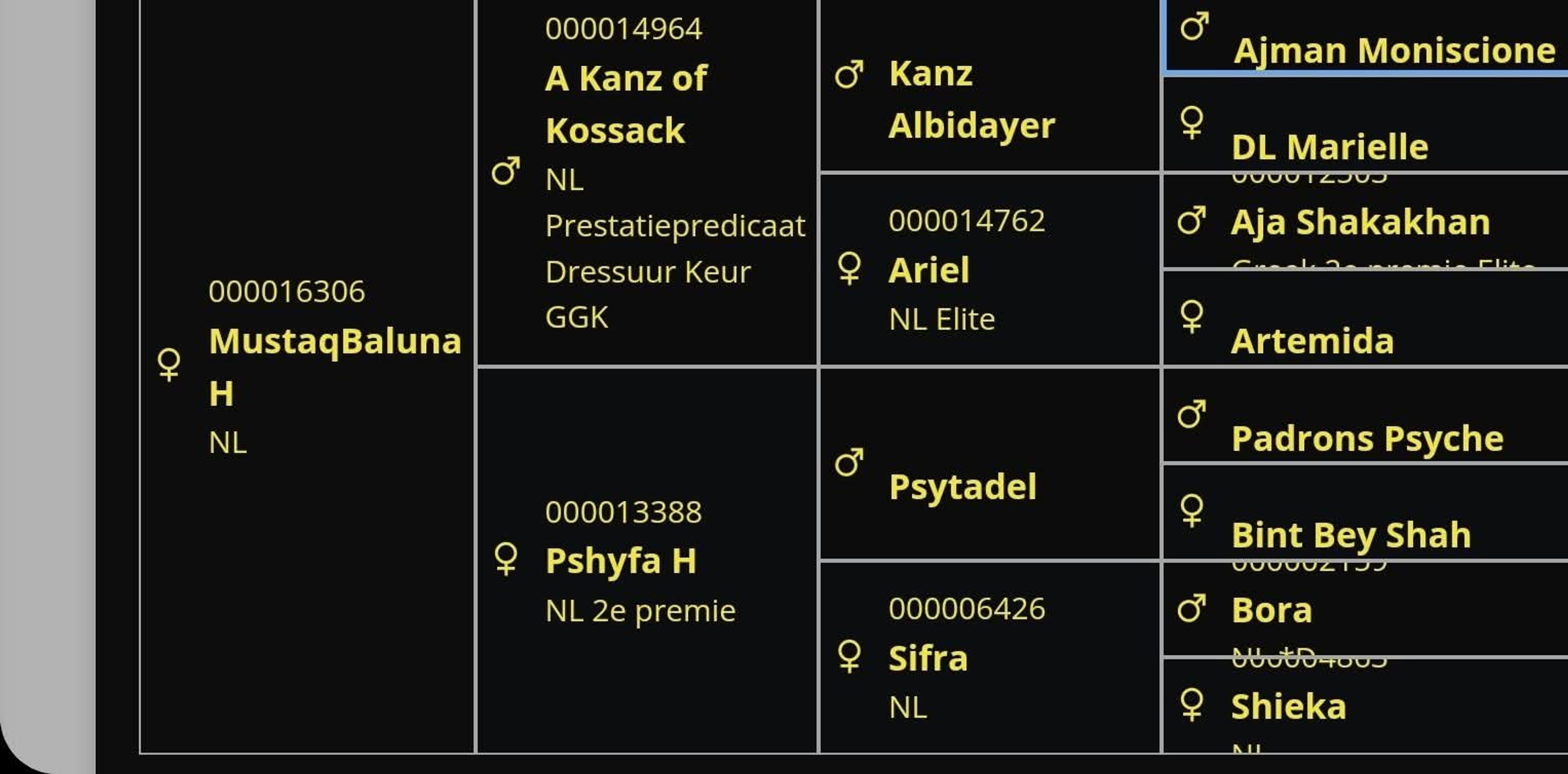 Mustaqbaluna H - Image 5