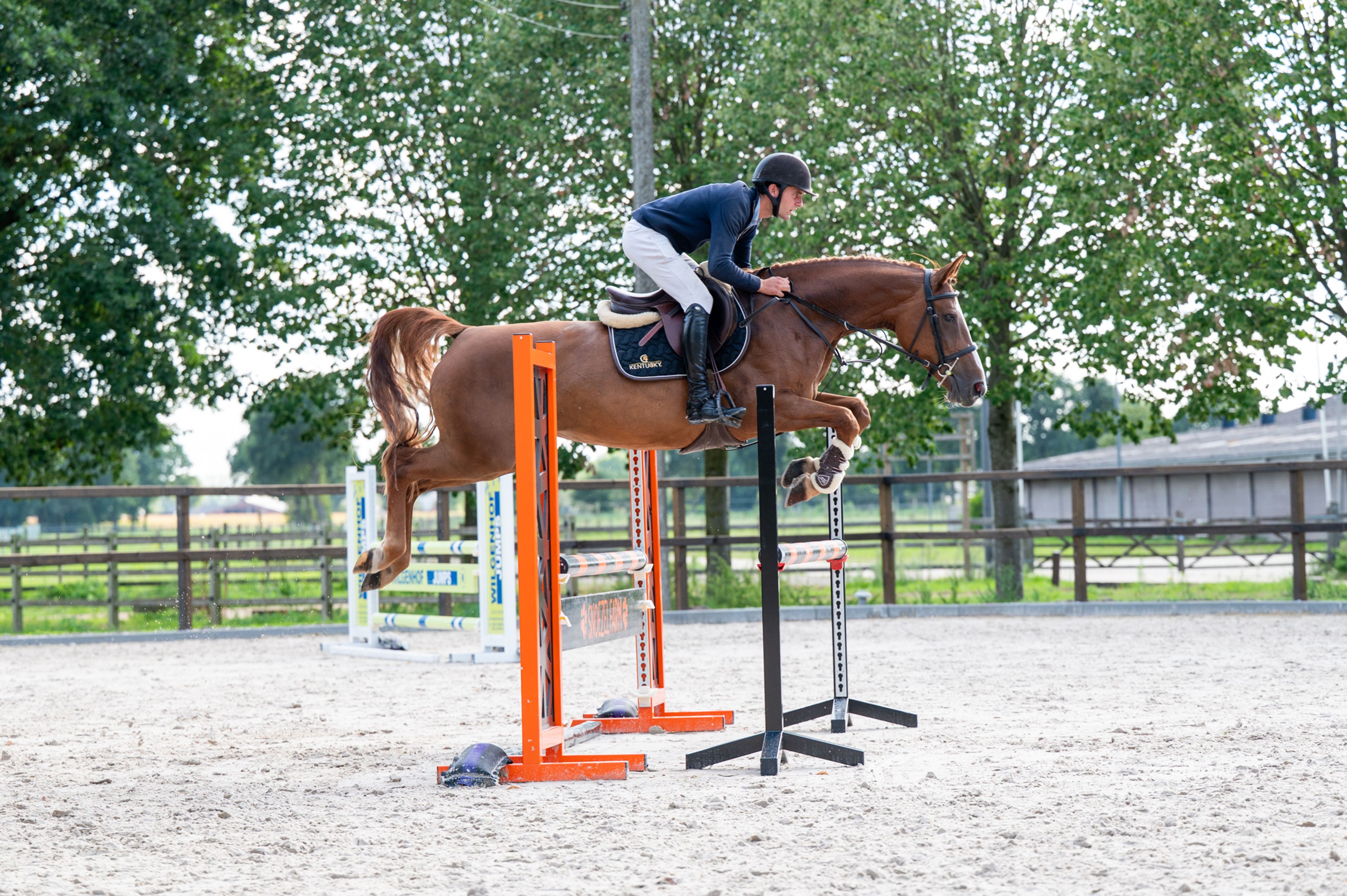 Cover Star 1919 Z (COPYCAT Z x RUBENS DU RI D'ASSE) - Image 1