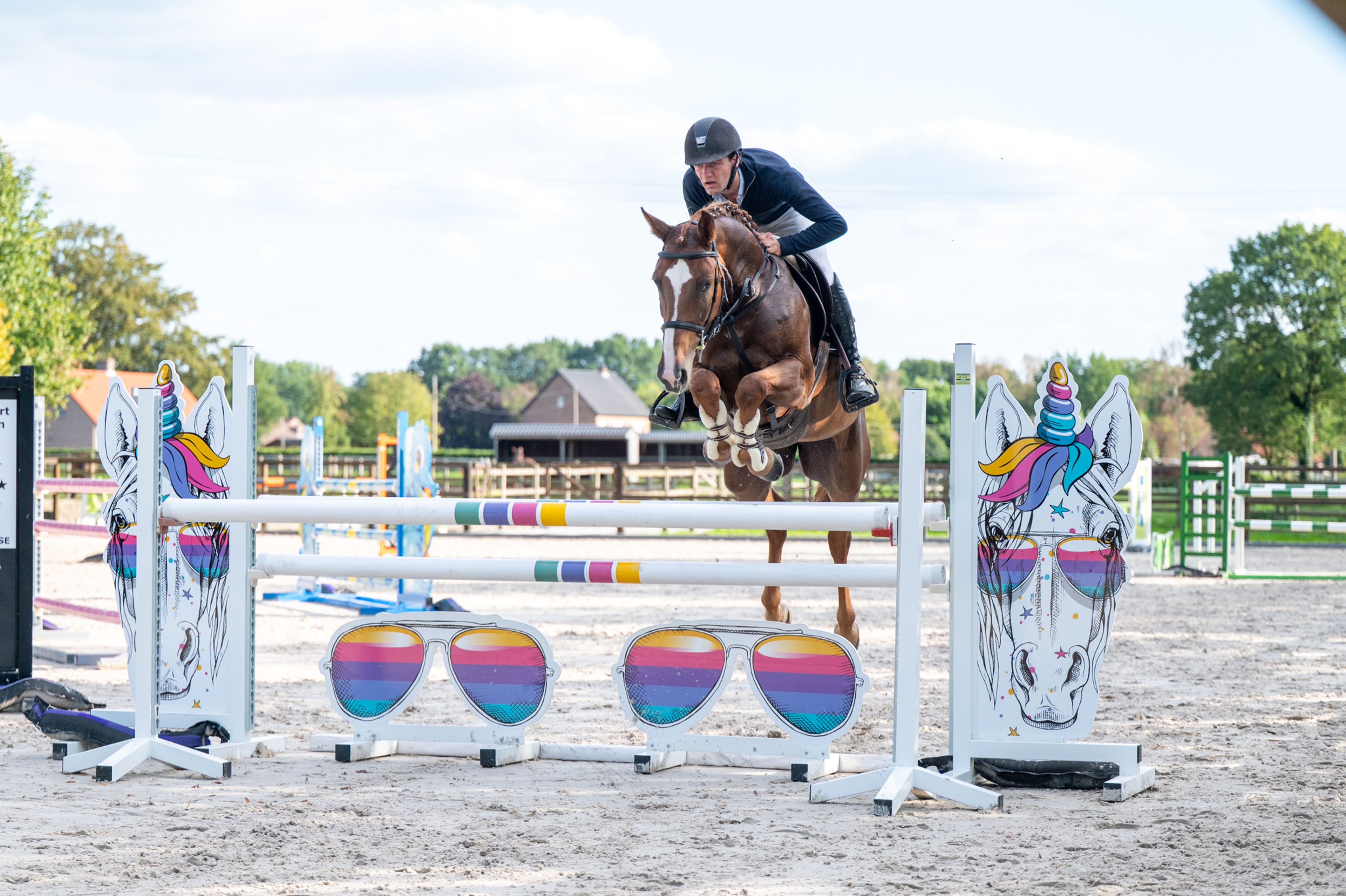 Cover Star 1919 Z (COPYCAT Z x RUBENS DU RI D'ASSE) - Image 3