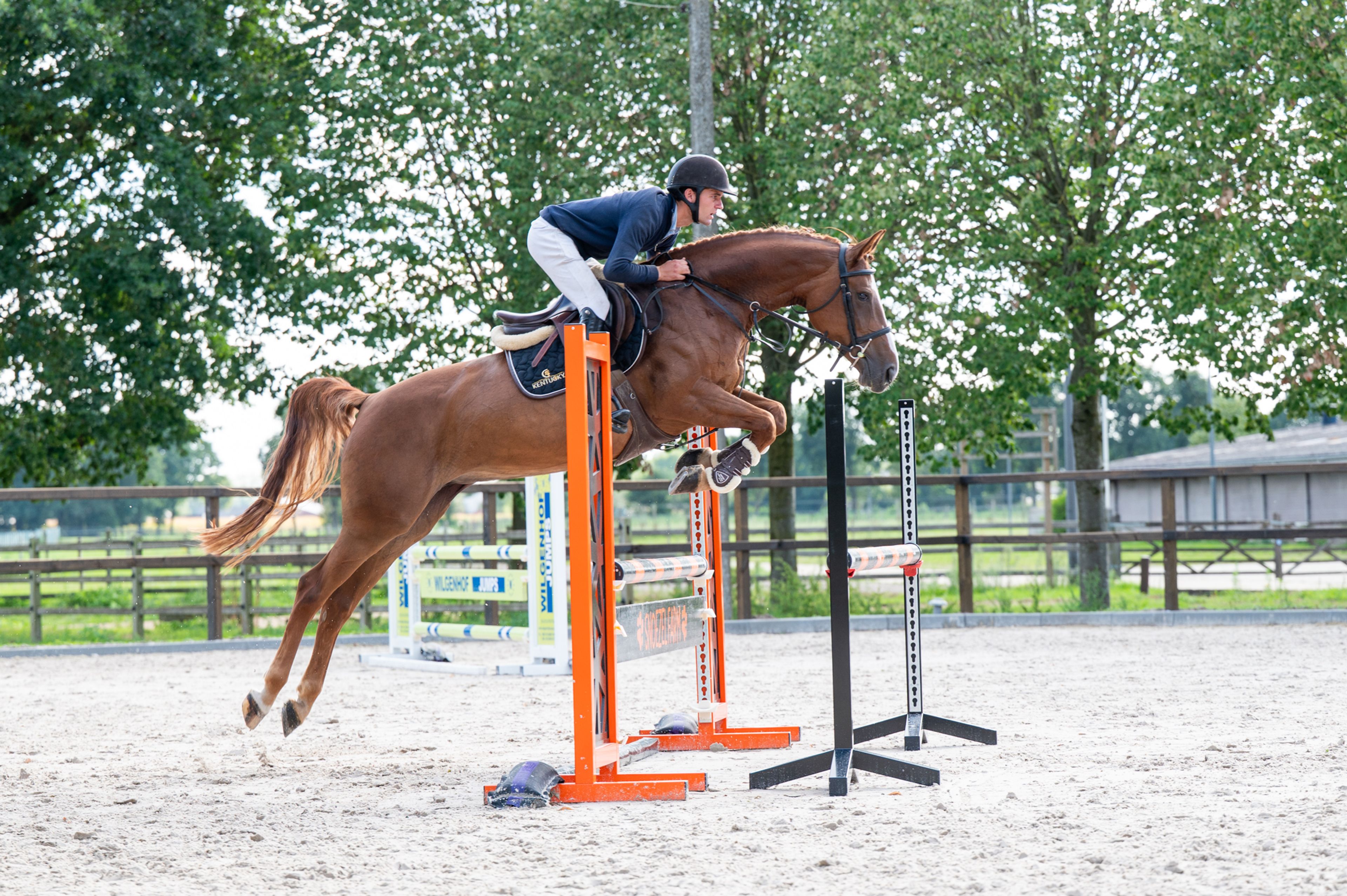 Cover Star 1919 Z (COPYCAT Z x RUBENS DU RI D'ASSE) - Image 4