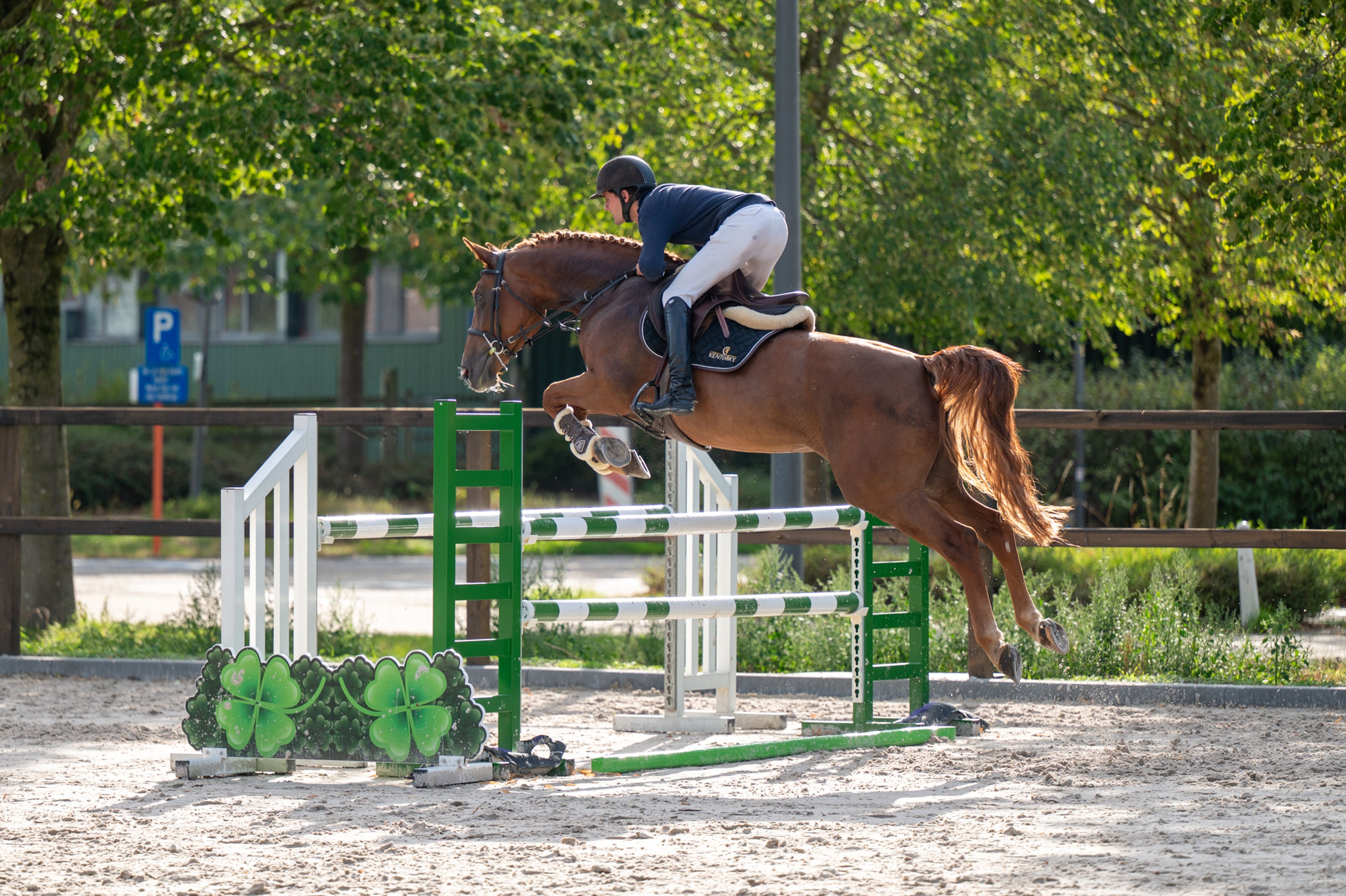 Cover Star 1919 Z (COPYCAT Z x RUBENS DU RI D'ASSE) - Image 7
