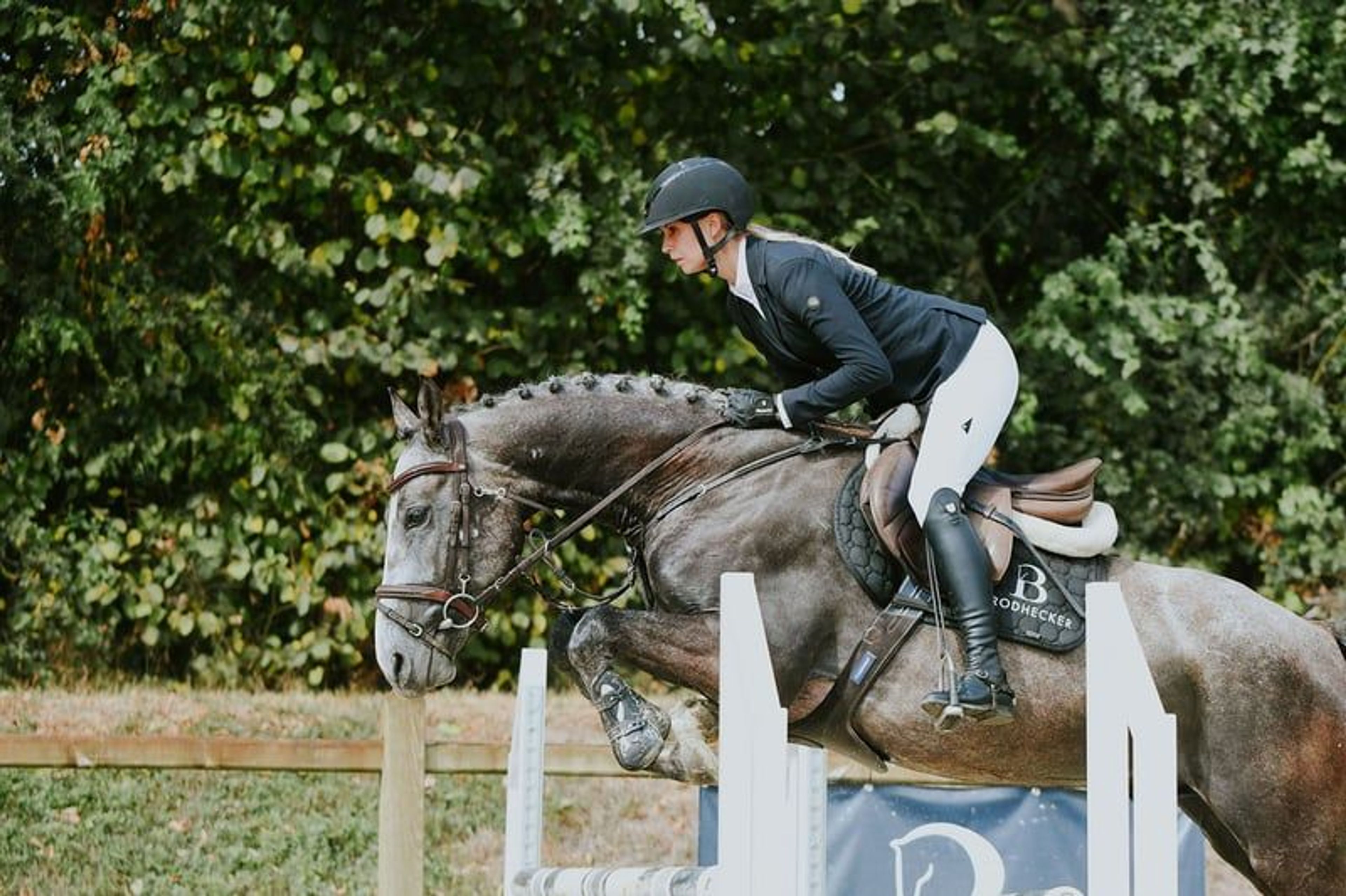 Compact young show jumper with plenty of quality. - Image 5