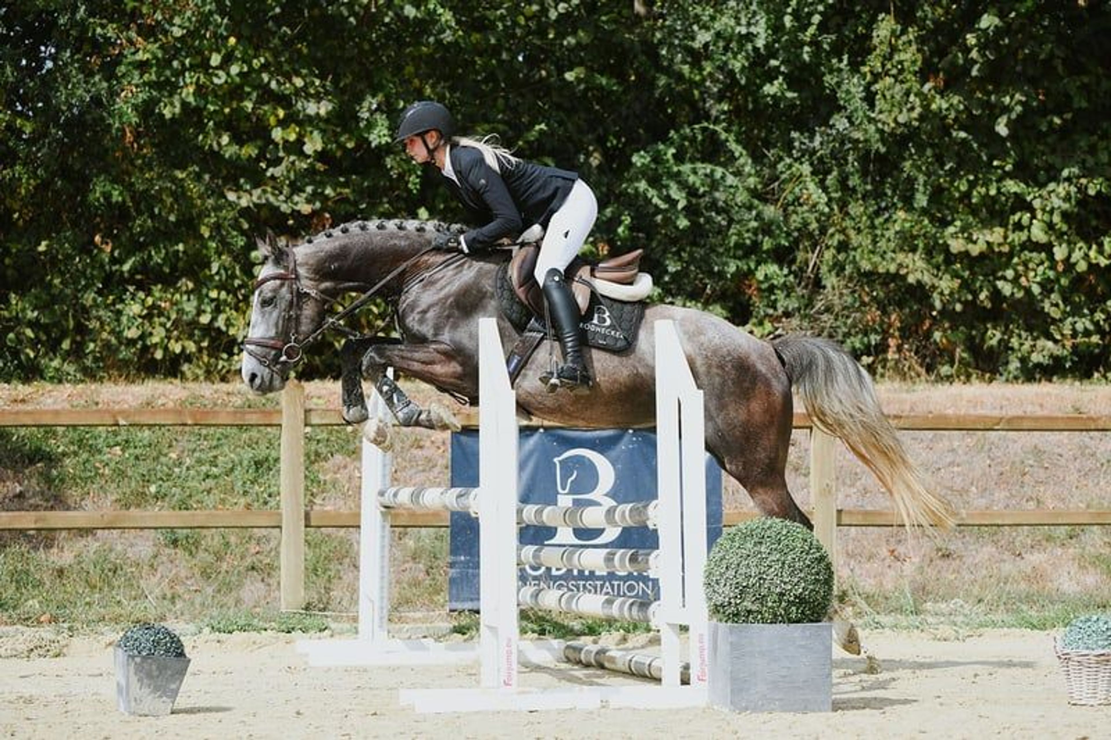 Compact young show jumper with plenty of quality. - Image 9