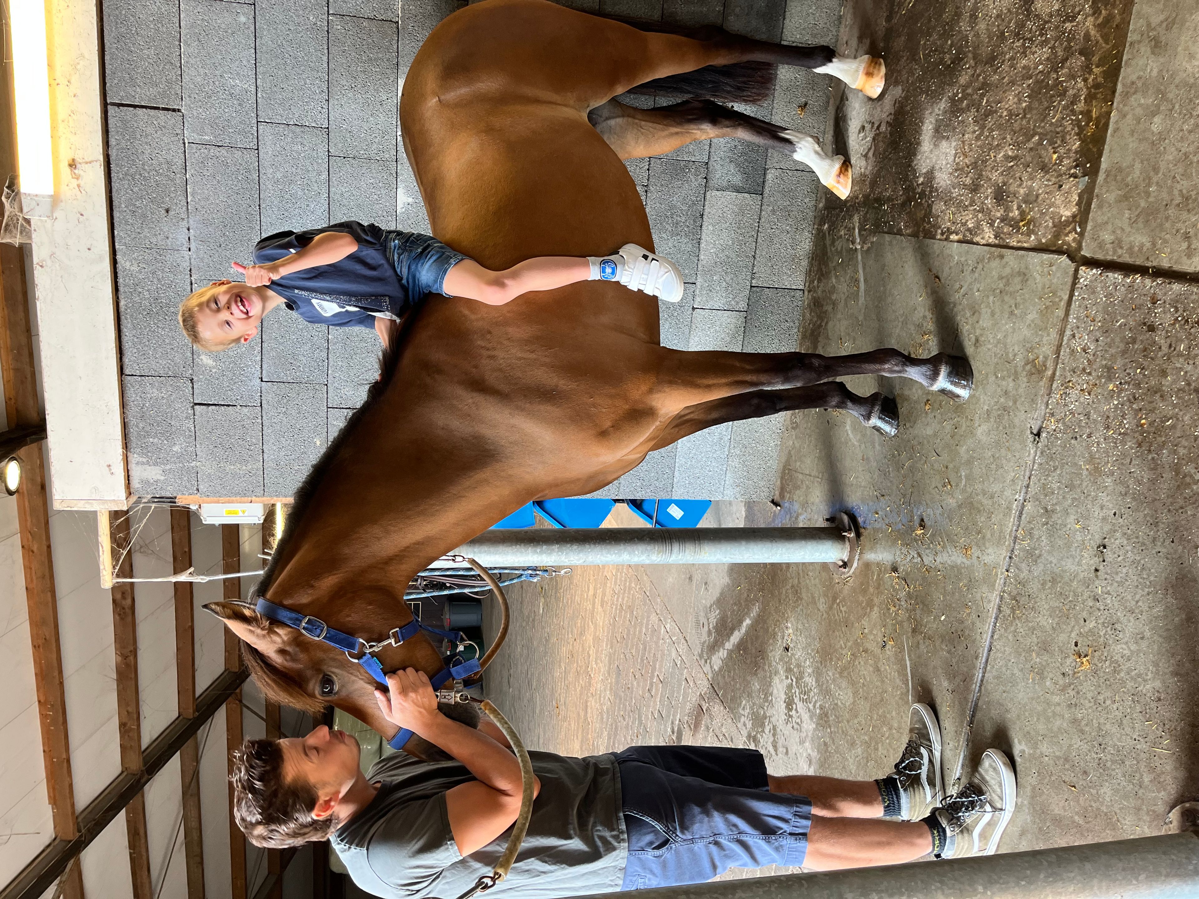 Only van't Honderslo(+Kantjes Ronaldo) ☆☆ (NIEUWMOEDS MR DARCY x ORCHARD RED PRINCE) - Image 7